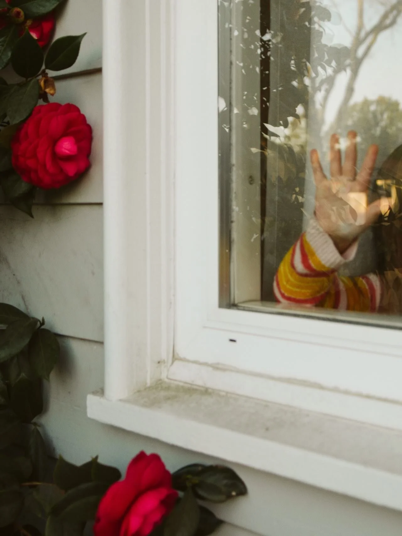 The first time we saw this house, camellias were blooming outside the front door. They felt like a sign, like hope, like this was not just an old, dilapidated house; this was an old, dilapidated house *full of potential.*
⠀⠀⠀⠀⠀⠀⠀⠀⠀
Every winter&mdash