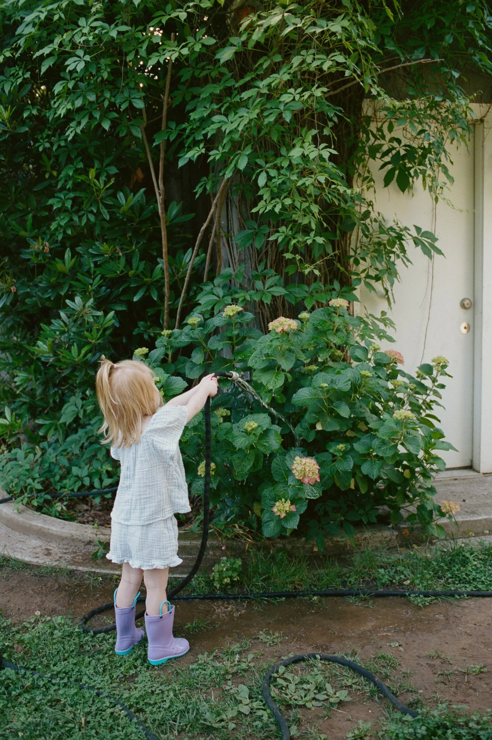 Sacramento Family Photographer | Ashlee Gadd Photography | Film-10.jpg