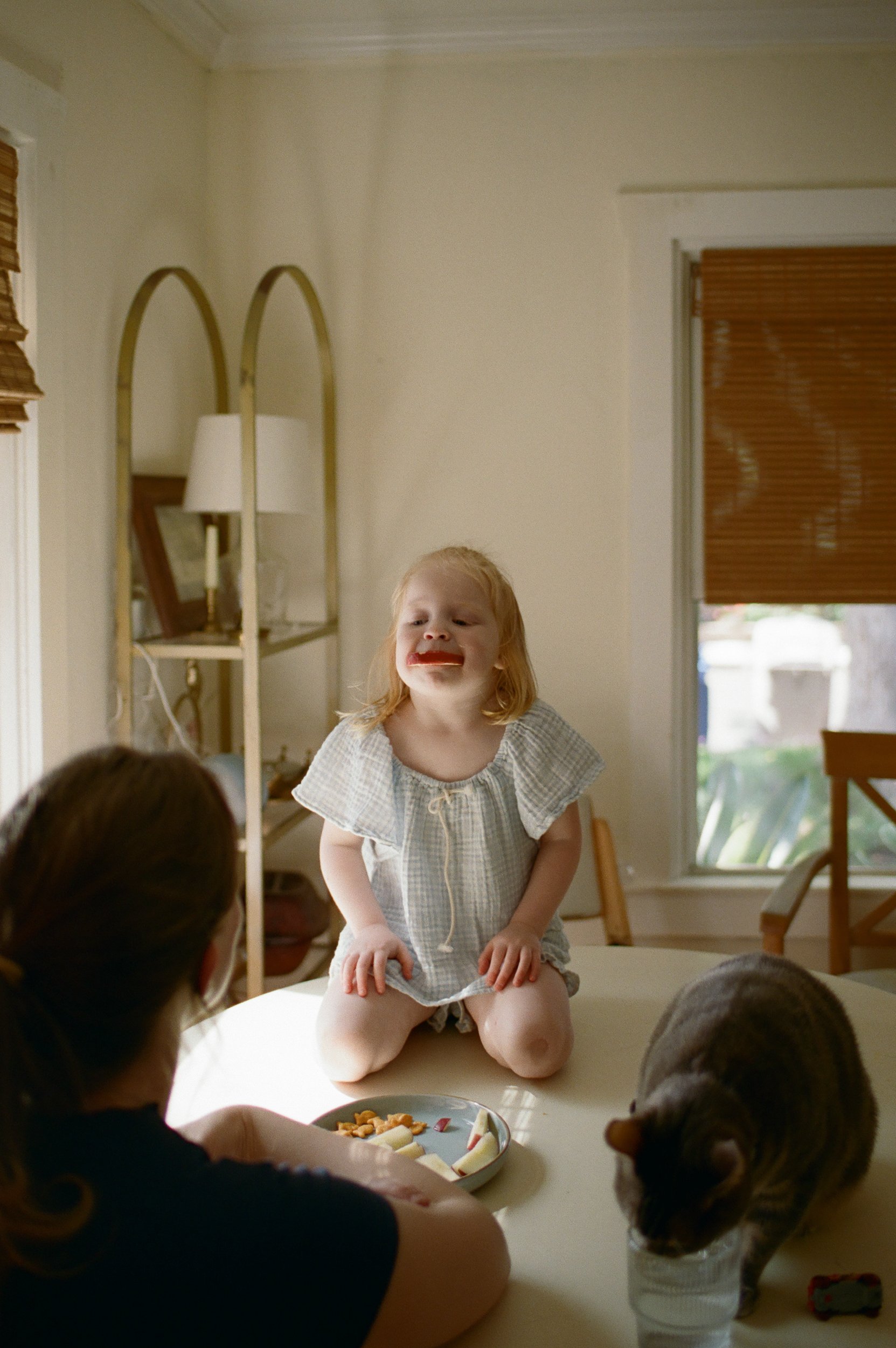 Sacramento Family Photographer | Ashlee Gadd Photography | Film-14.jpg
