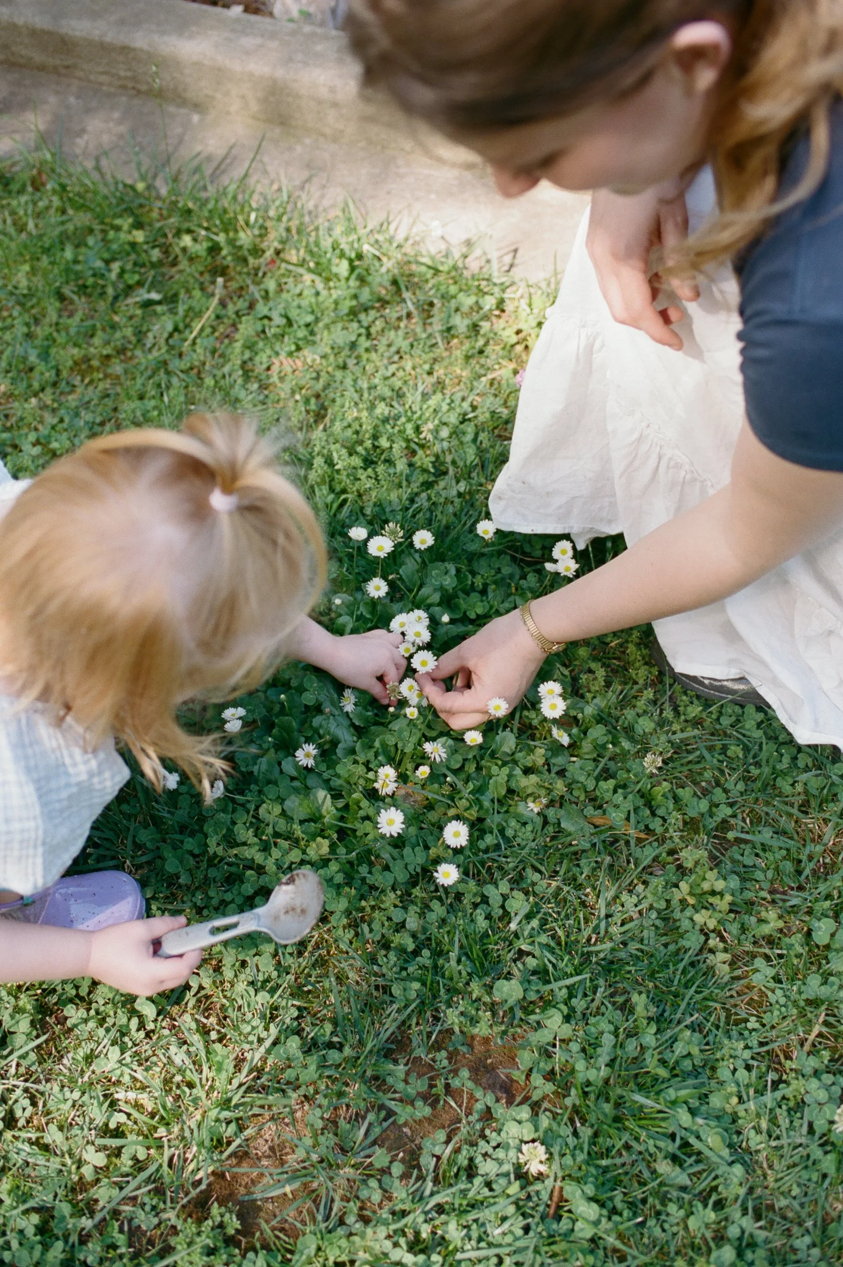 Sacramento Family Photographer | Ashlee Gadd Photography | Film-12.jpg
