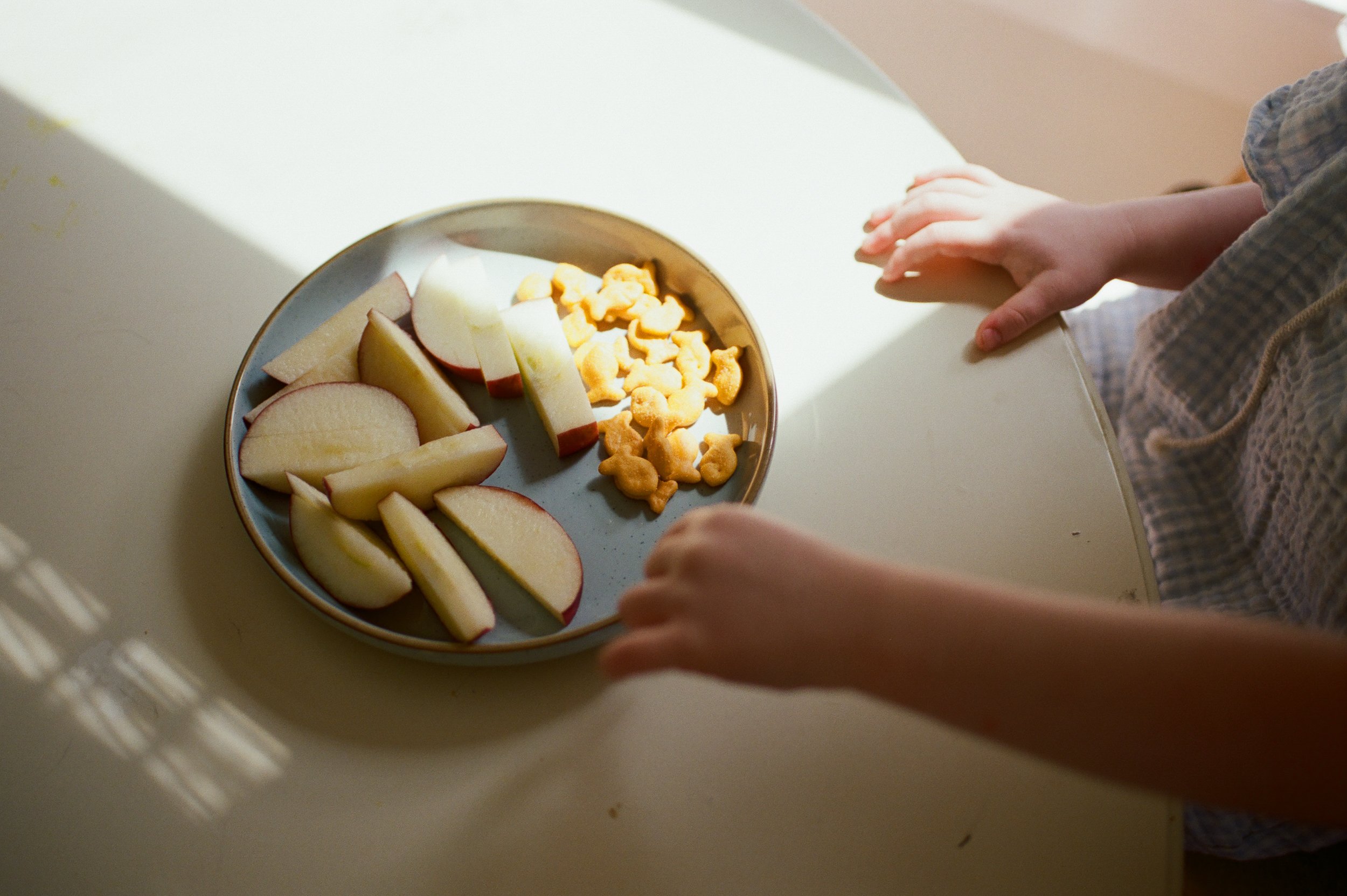 Sacramento Family Photographer | Ashlee Gadd Photography | Film-22.jpg