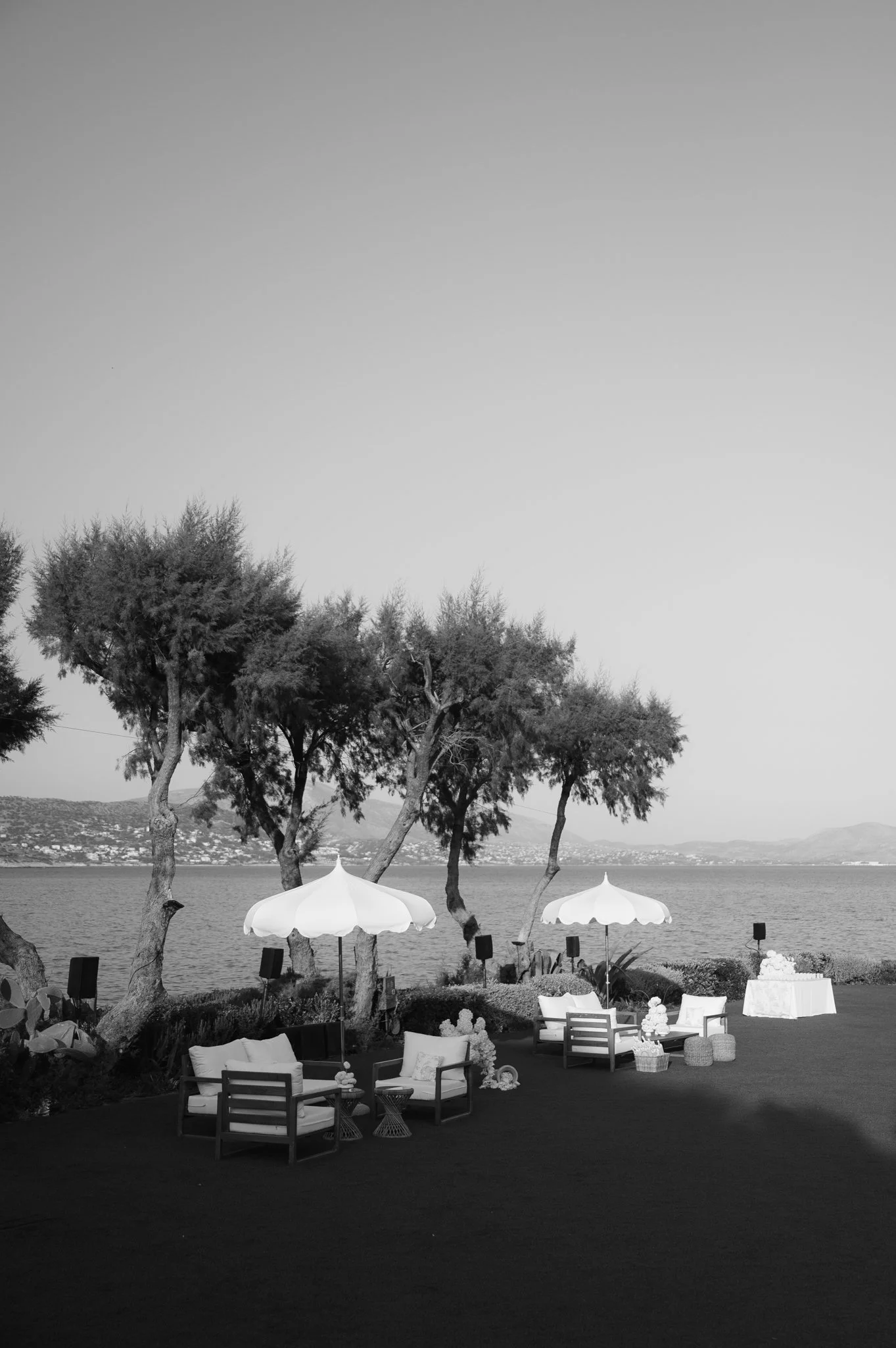 Favorites 2025-13.jpg