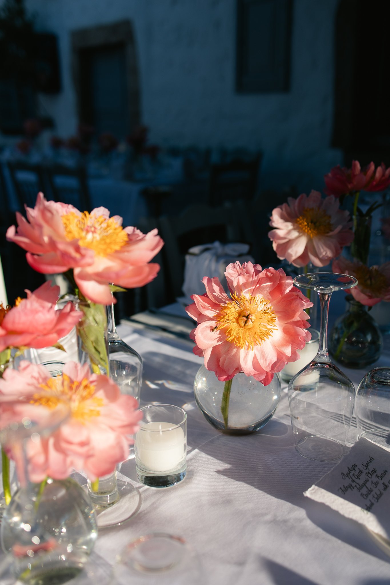 favorites 2025-2-4.jpg