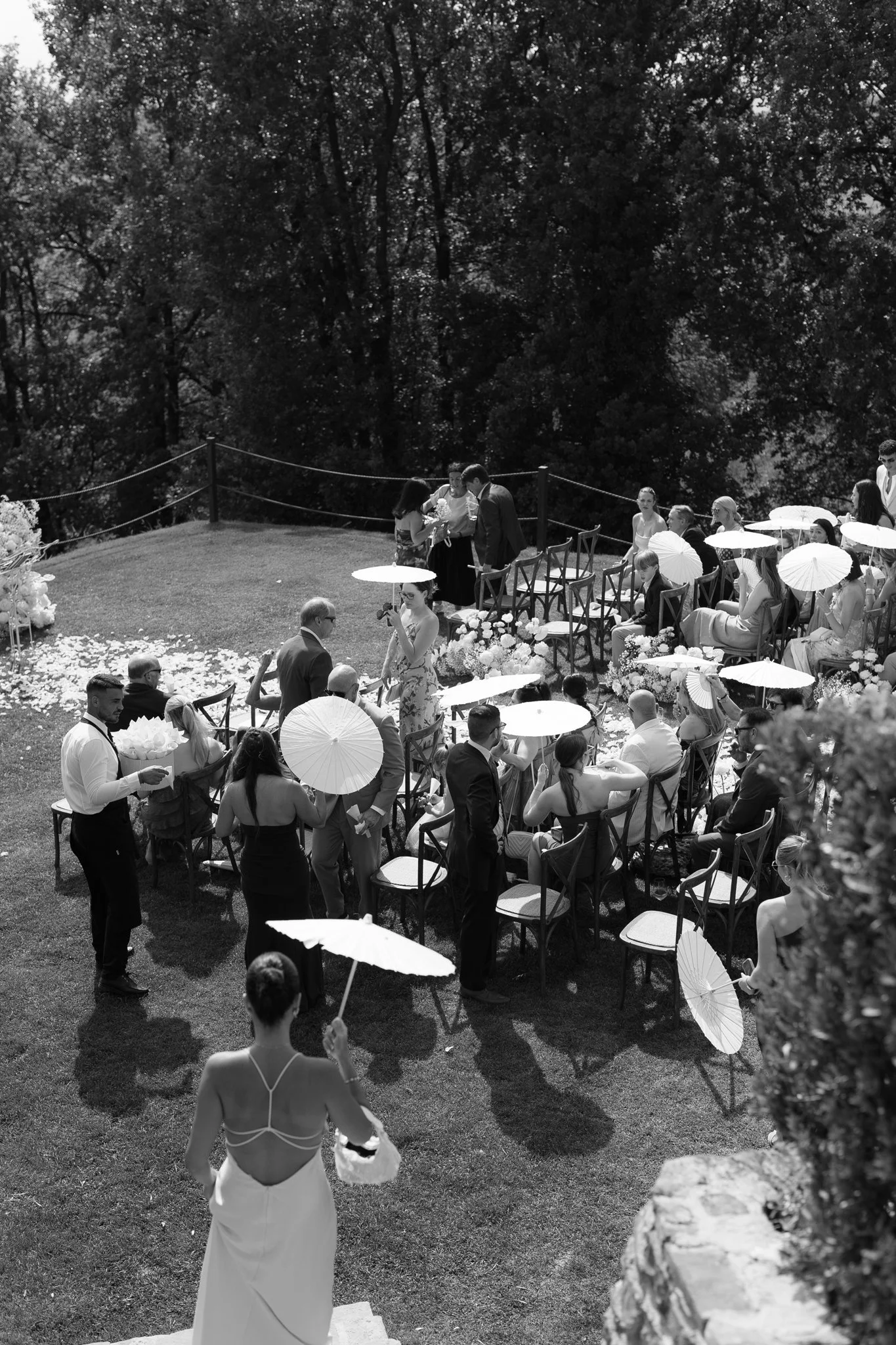 Favorites 2025-283.jpg