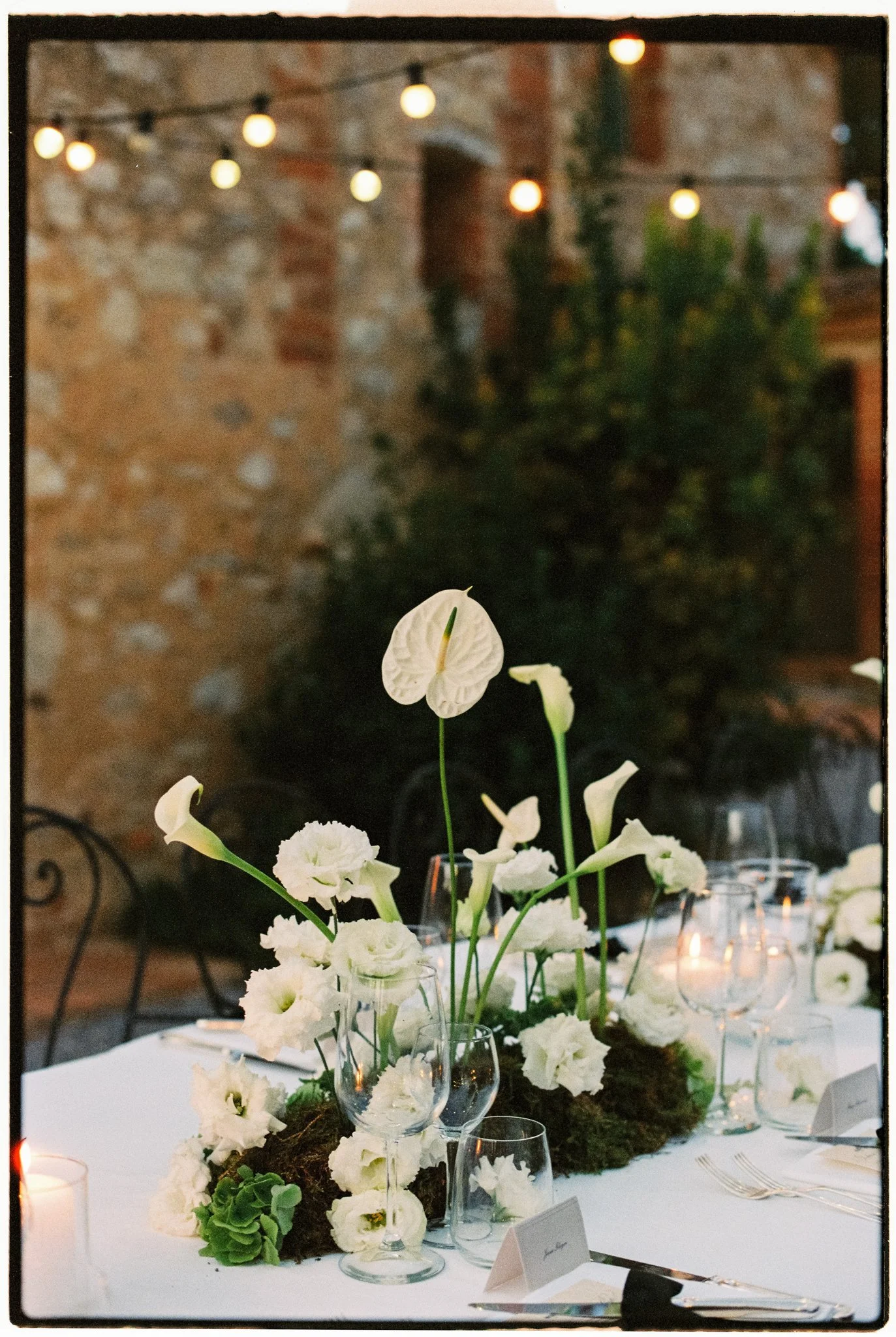 Favorites 2025-258.jpg