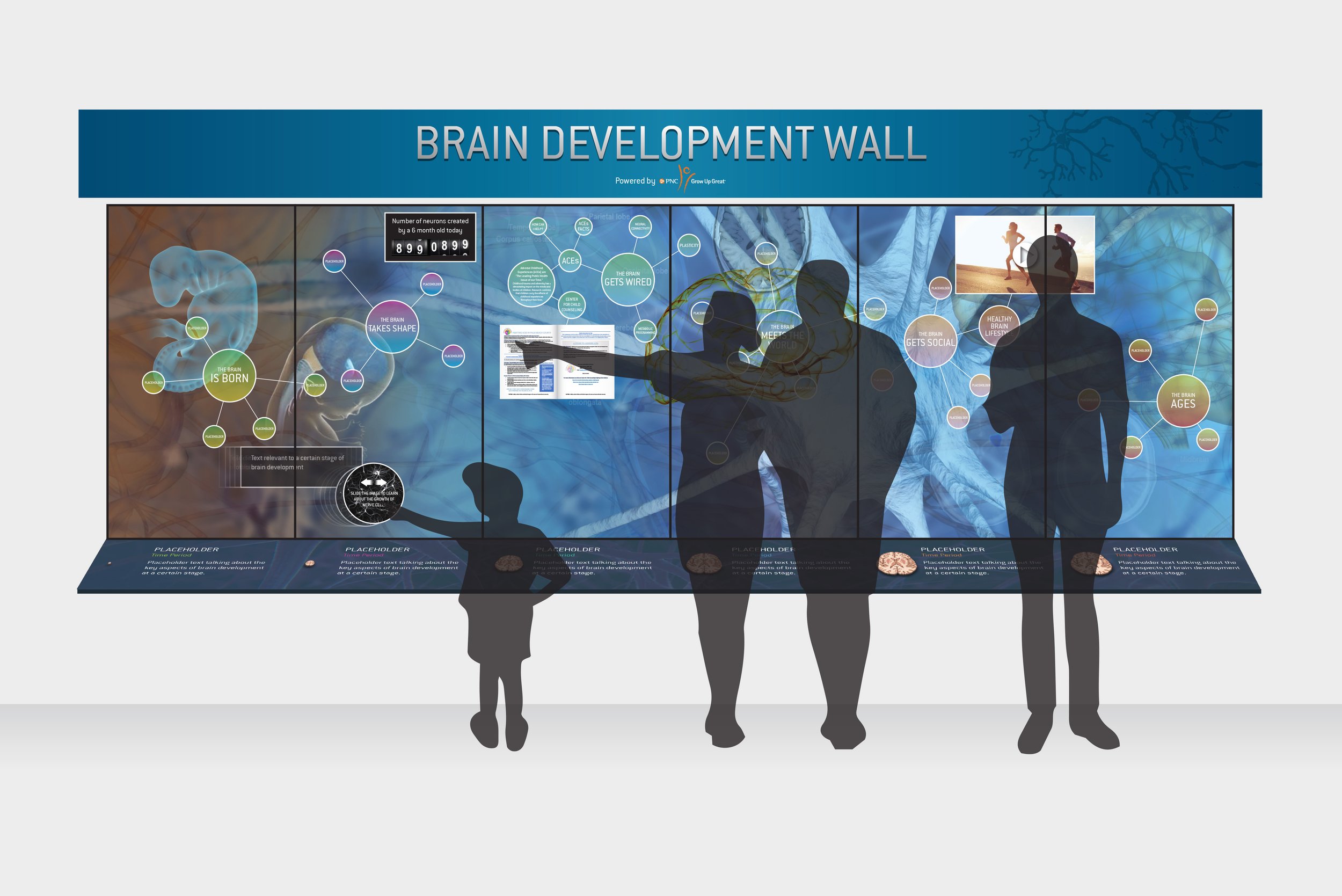 Brain Development Wall rendering gray.jpg