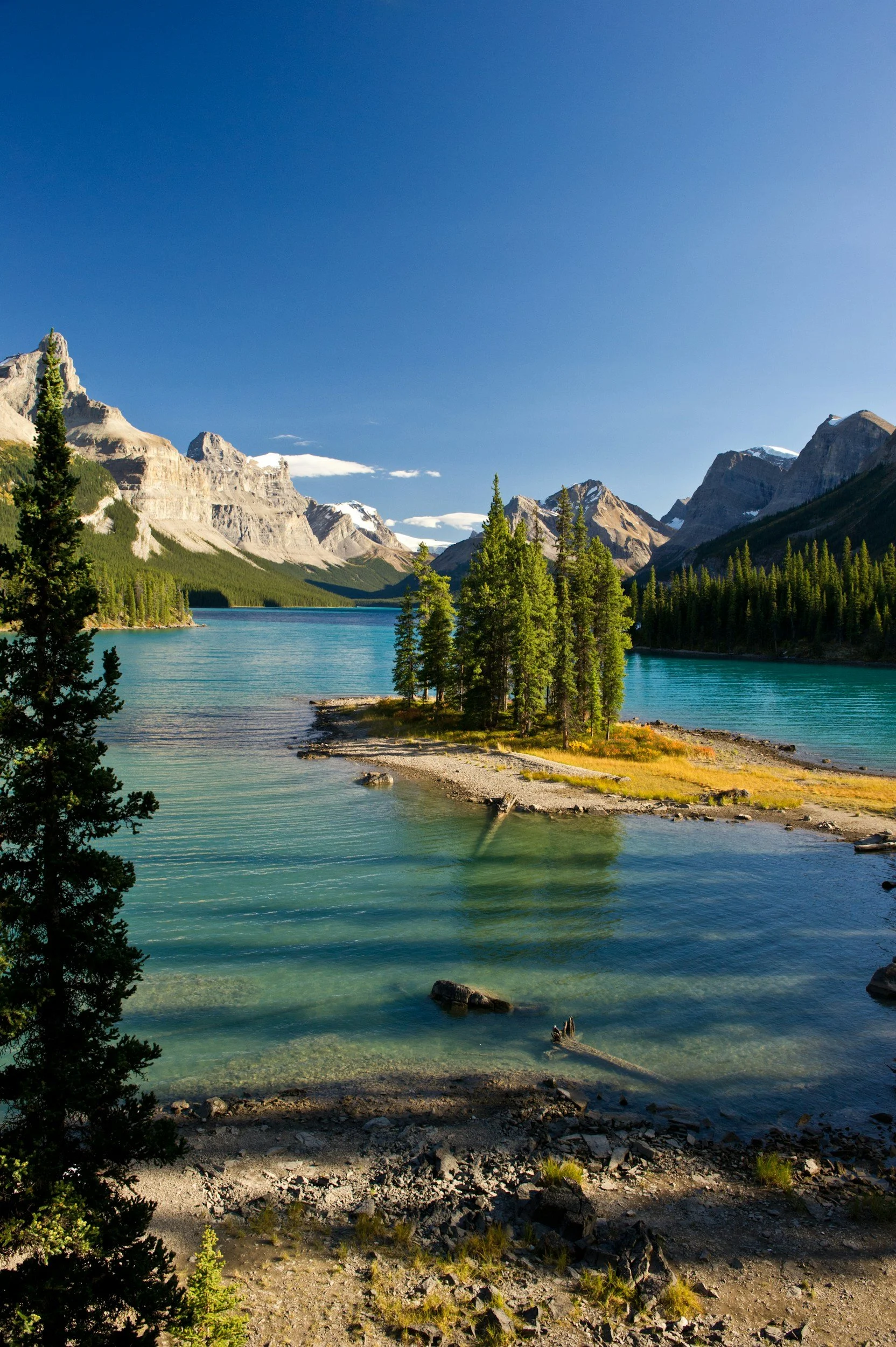 Picture of spirit island in Jasper