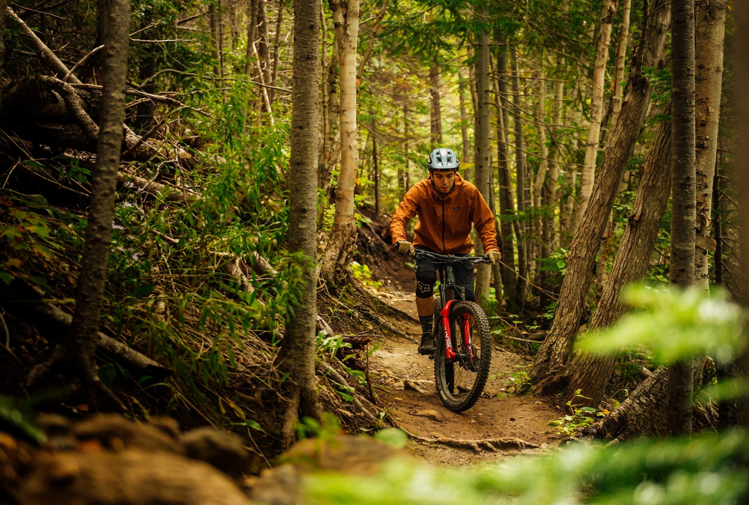 someone mountain biking through the trees