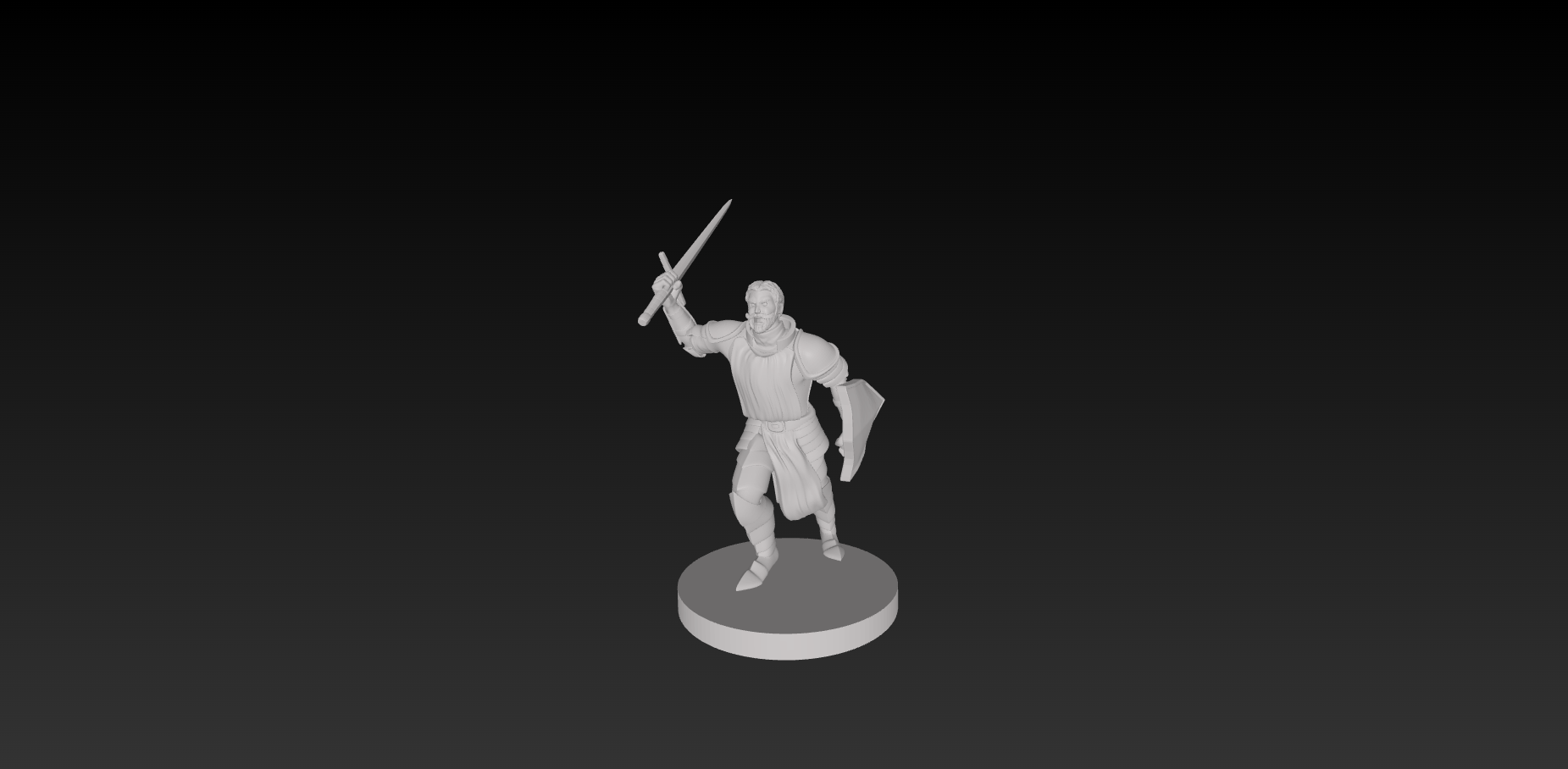 Human Paladin