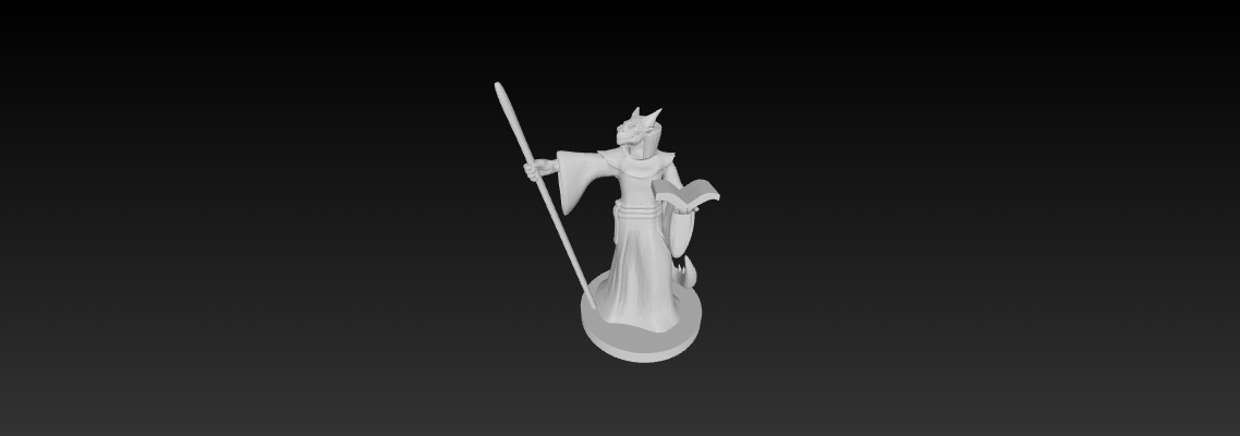 ImageToStl.com_Dragonborn Wizard Female.png