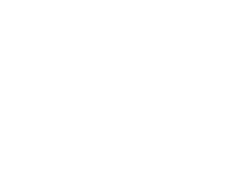 logo_zim_2026_200x112-light.png