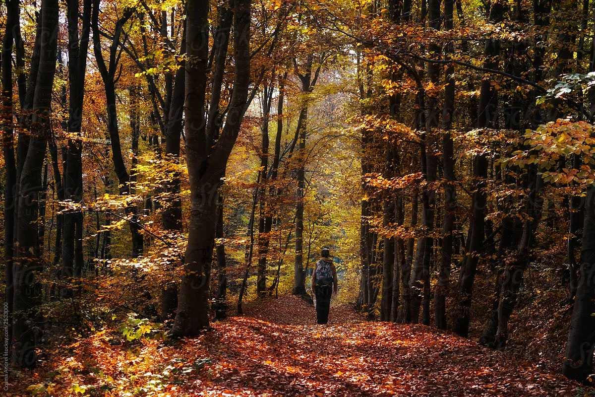 Grieving Your Old Self: Letting Go and Building the New You