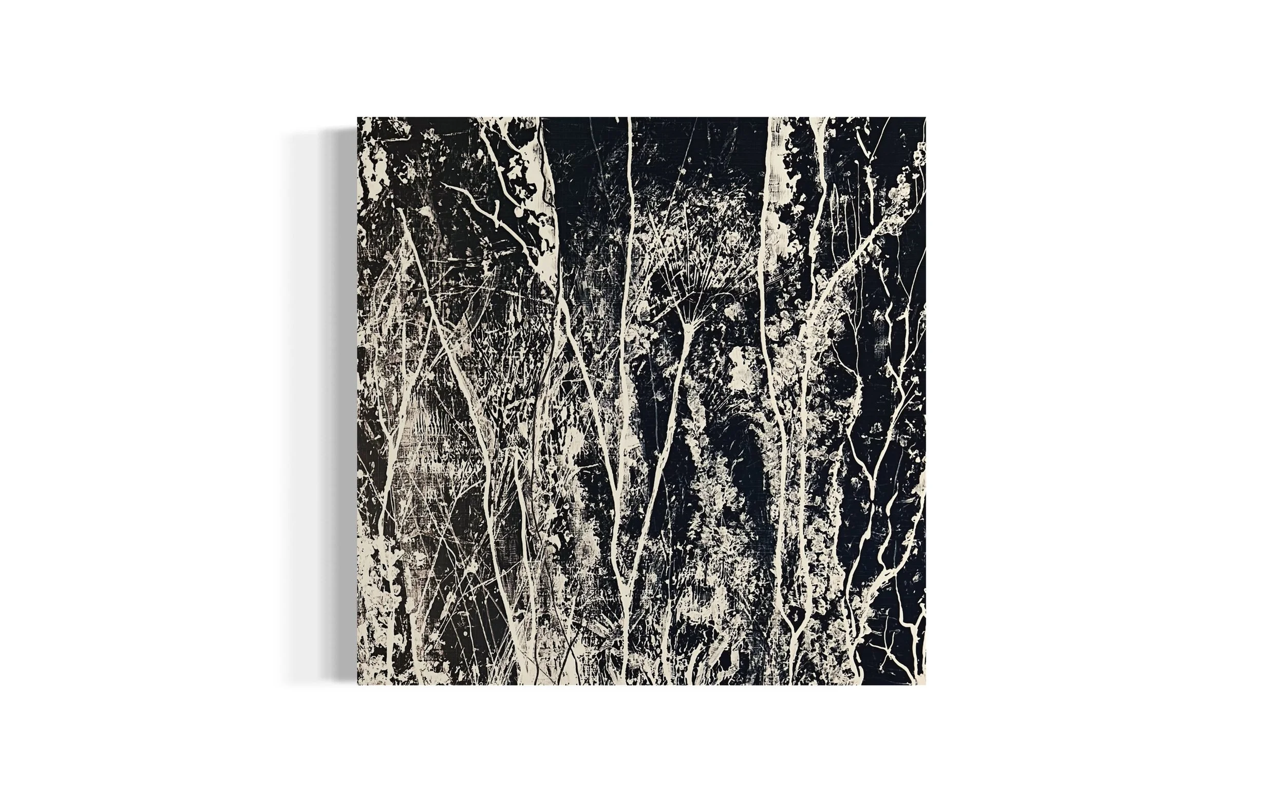 Monochrome Botanica, 2024