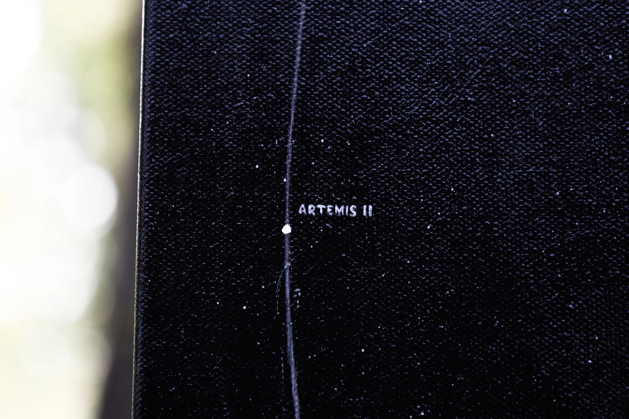 Artemis 2 Painting 1-2-3.jpg