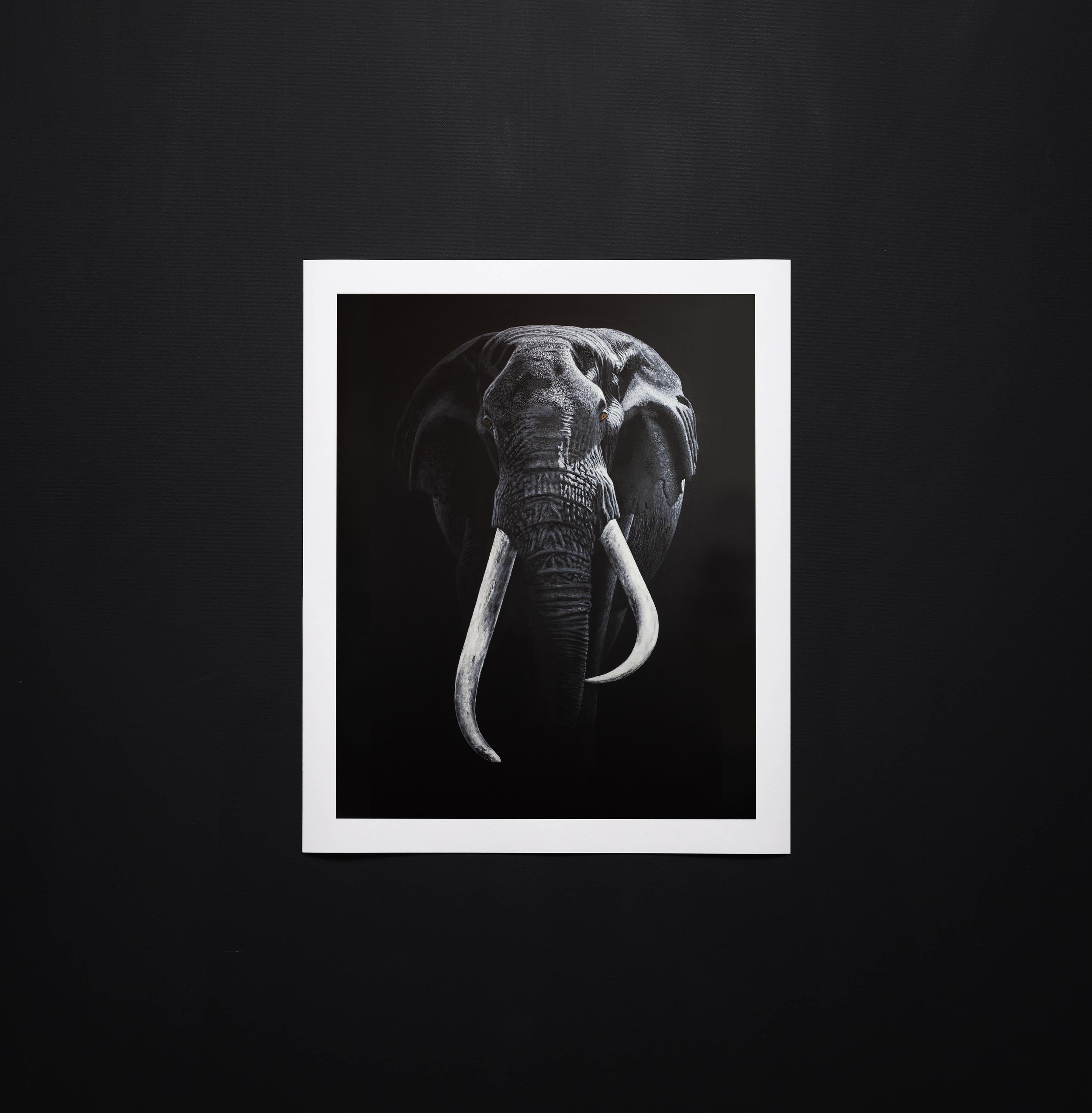 Elephant Print Close Up.jpg