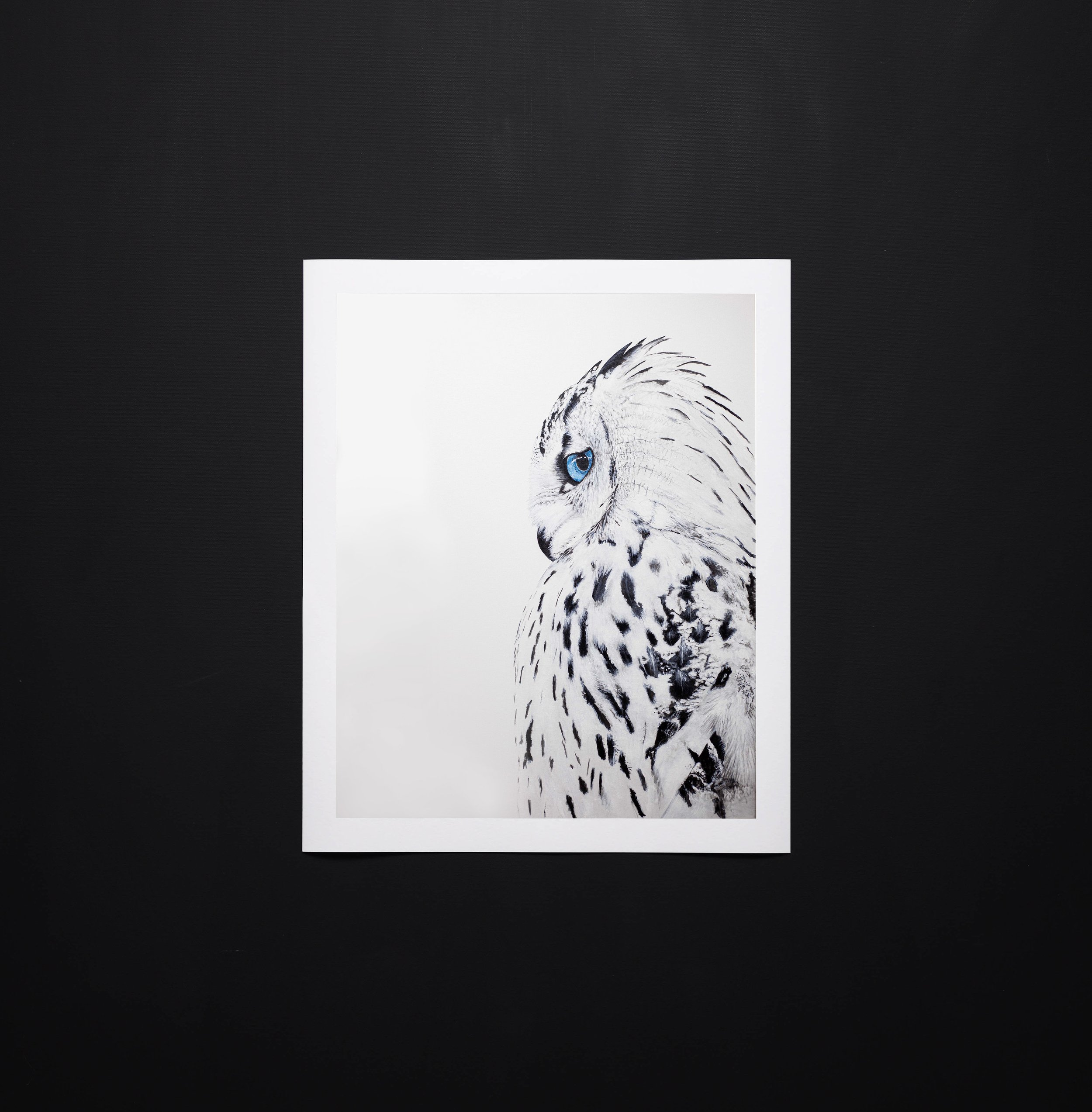 Owl Print Close Up.jpg