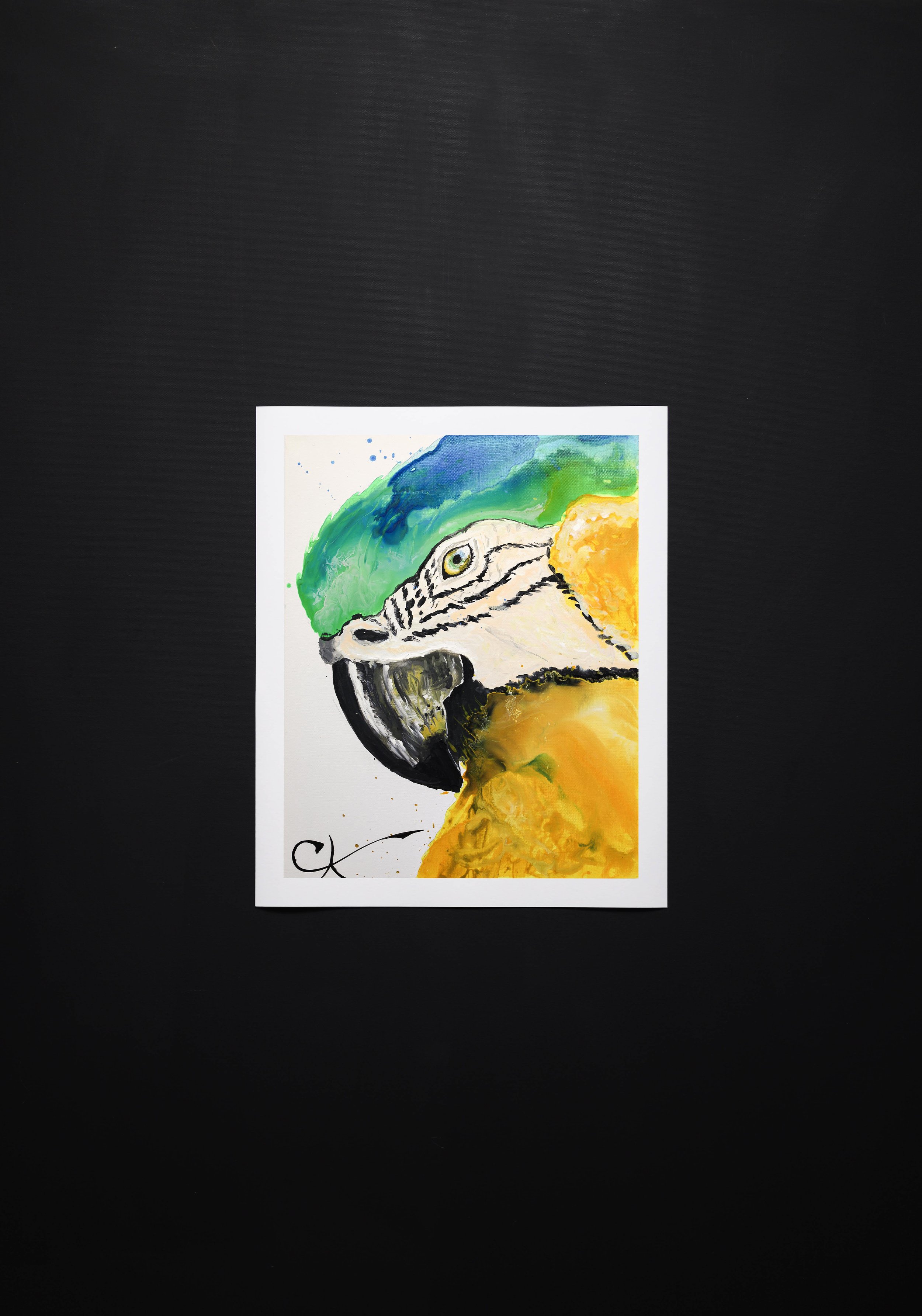 Pour Parrot Print Thumbnail H.jpg