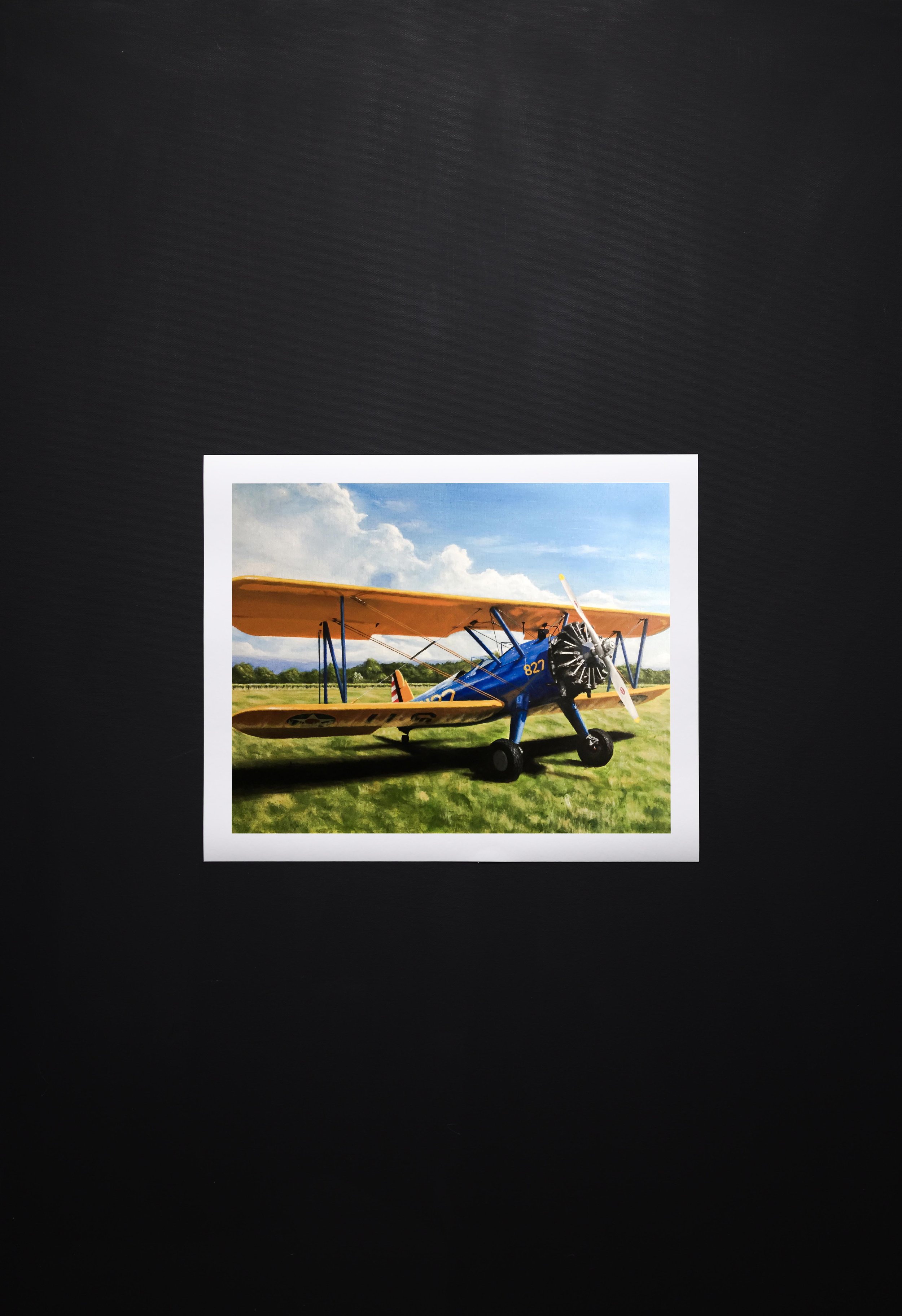 Marks Plane print thumbnail .jpg