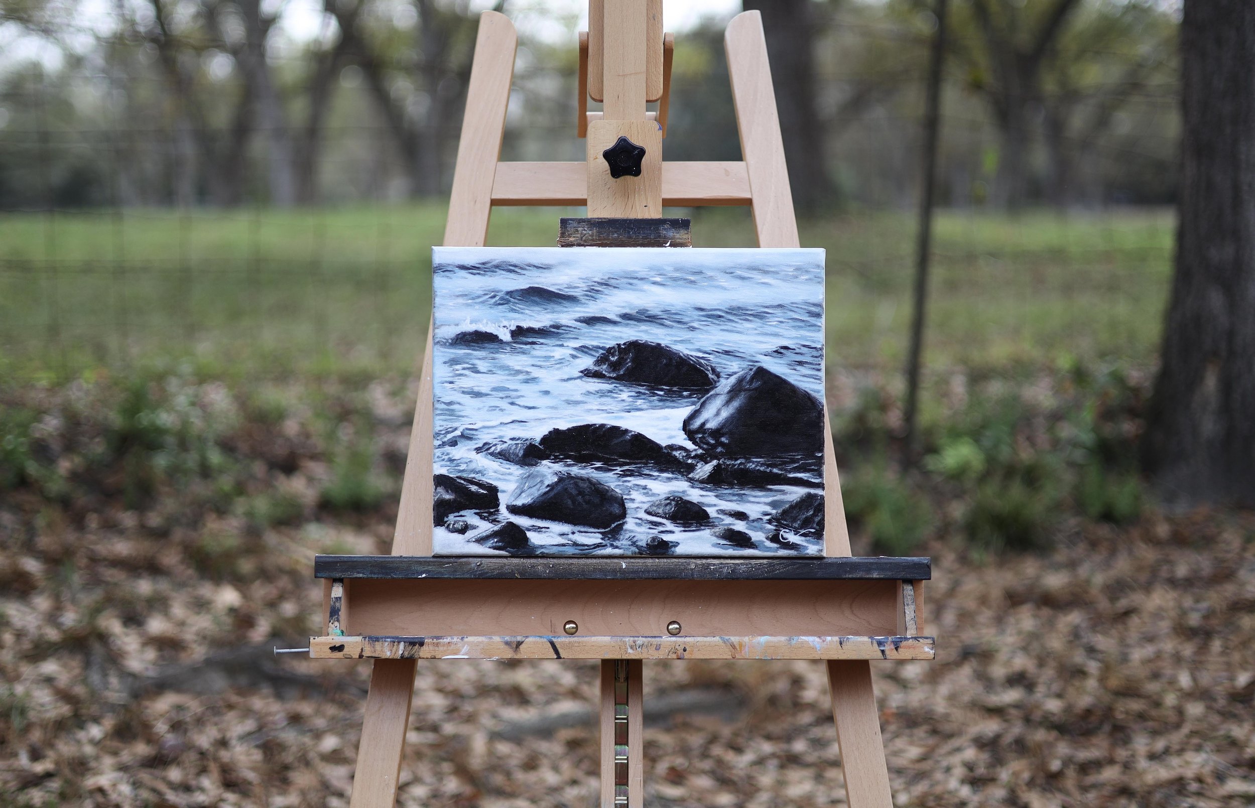 Wet Rocks painting.jpg