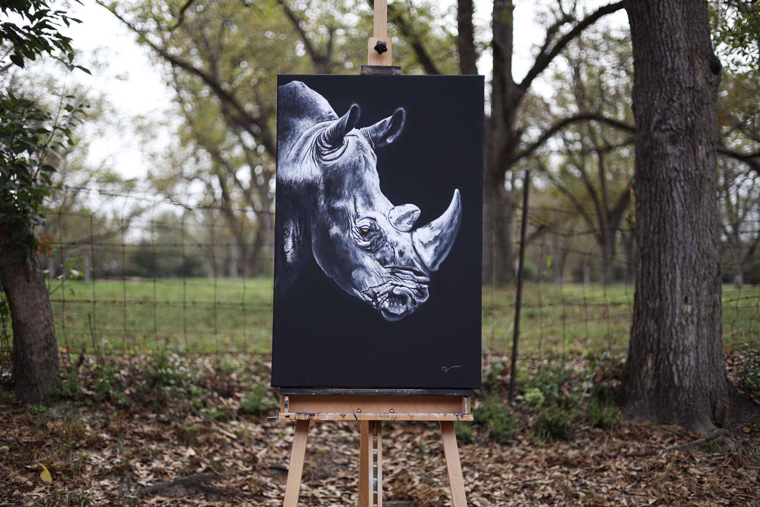White Rhino Painting.jpg