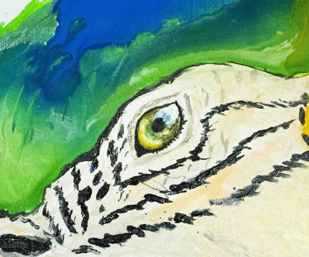 Peter+M+parrot+painting-1.jpg