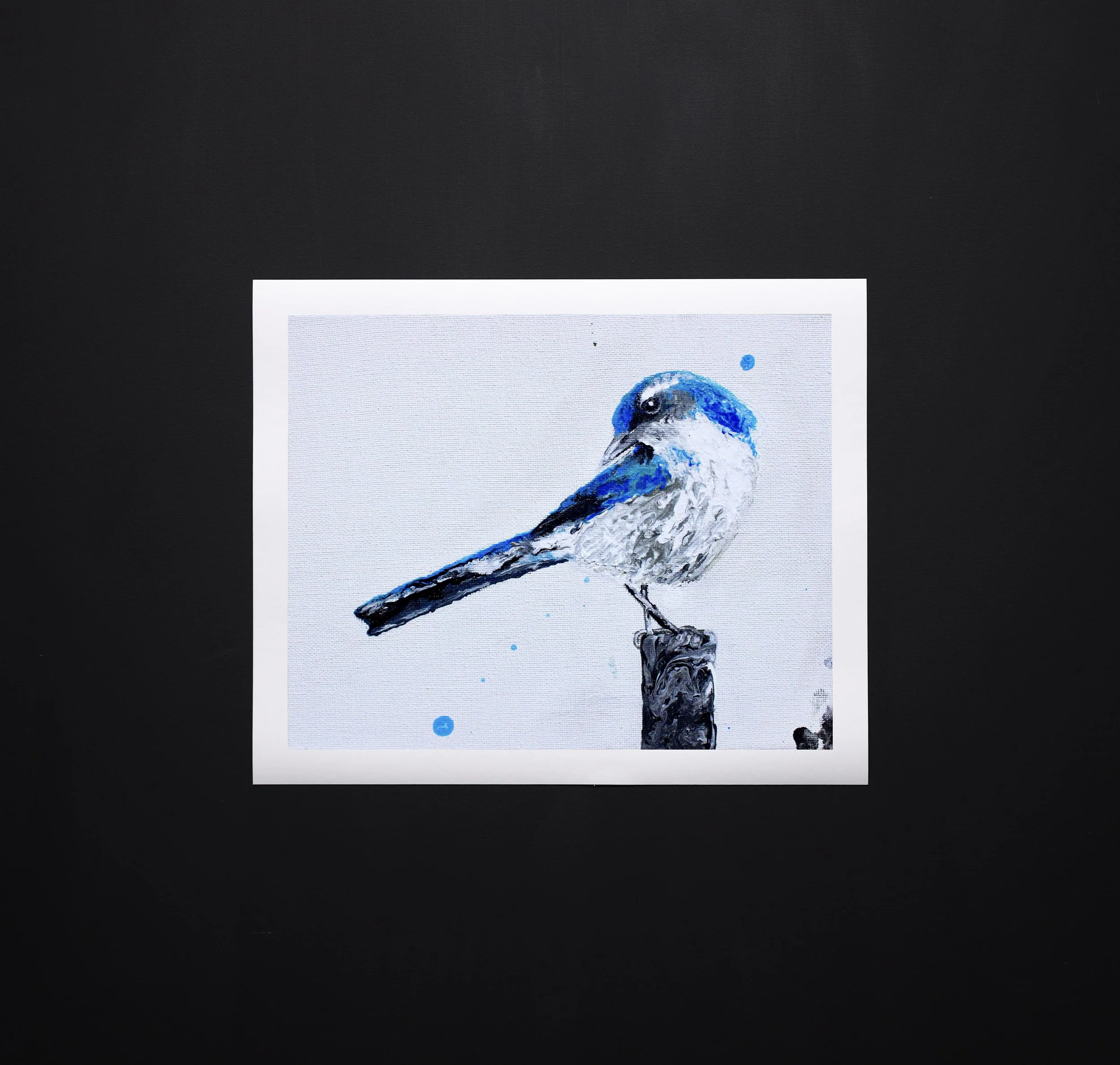 Blue Bird Print close up.jpg
