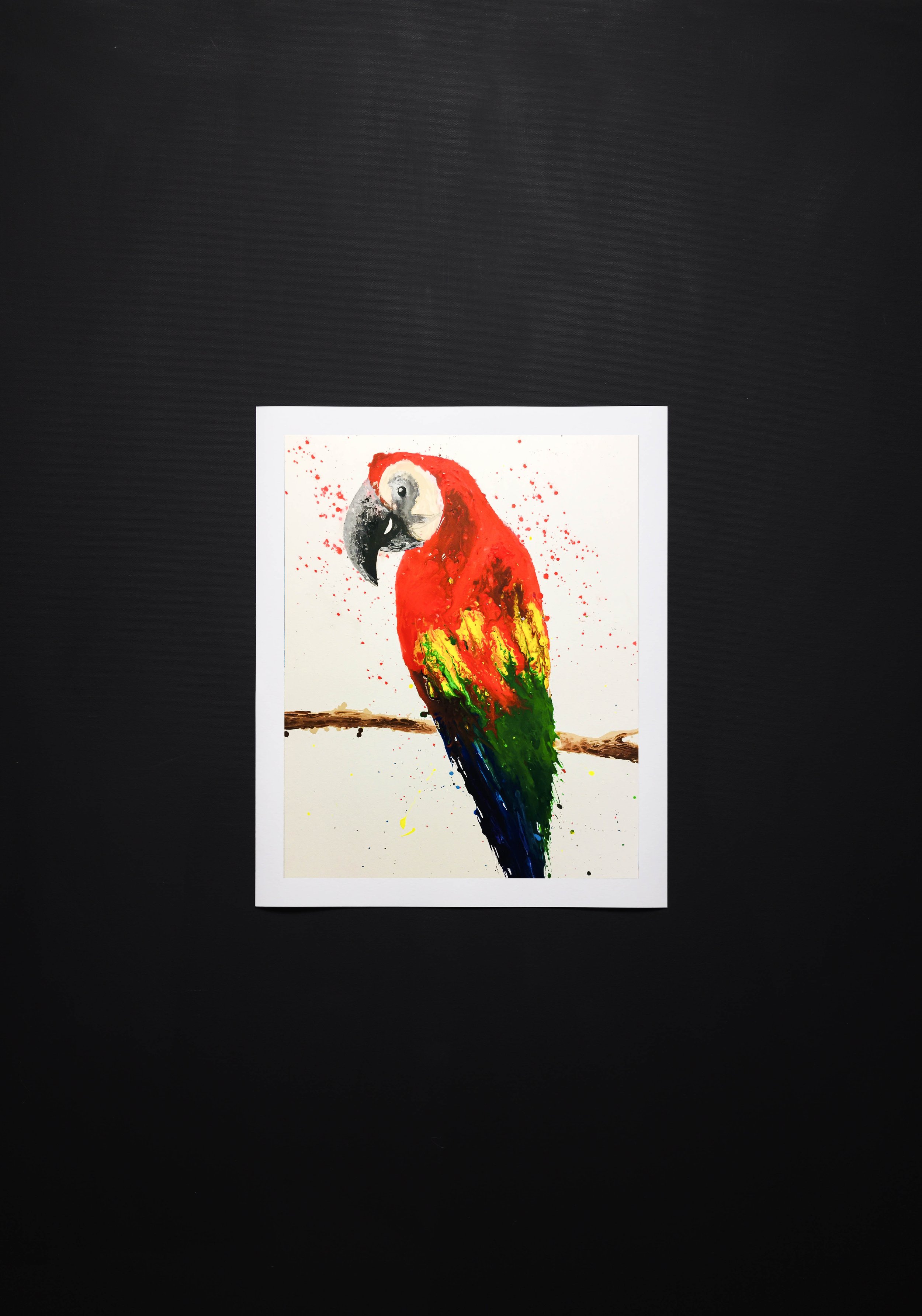 bright Parrot Print Thumbnail.jpg
