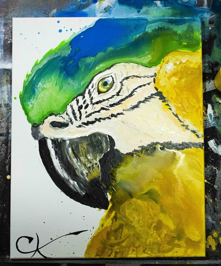 Peter+M+parrot+painting.jpg