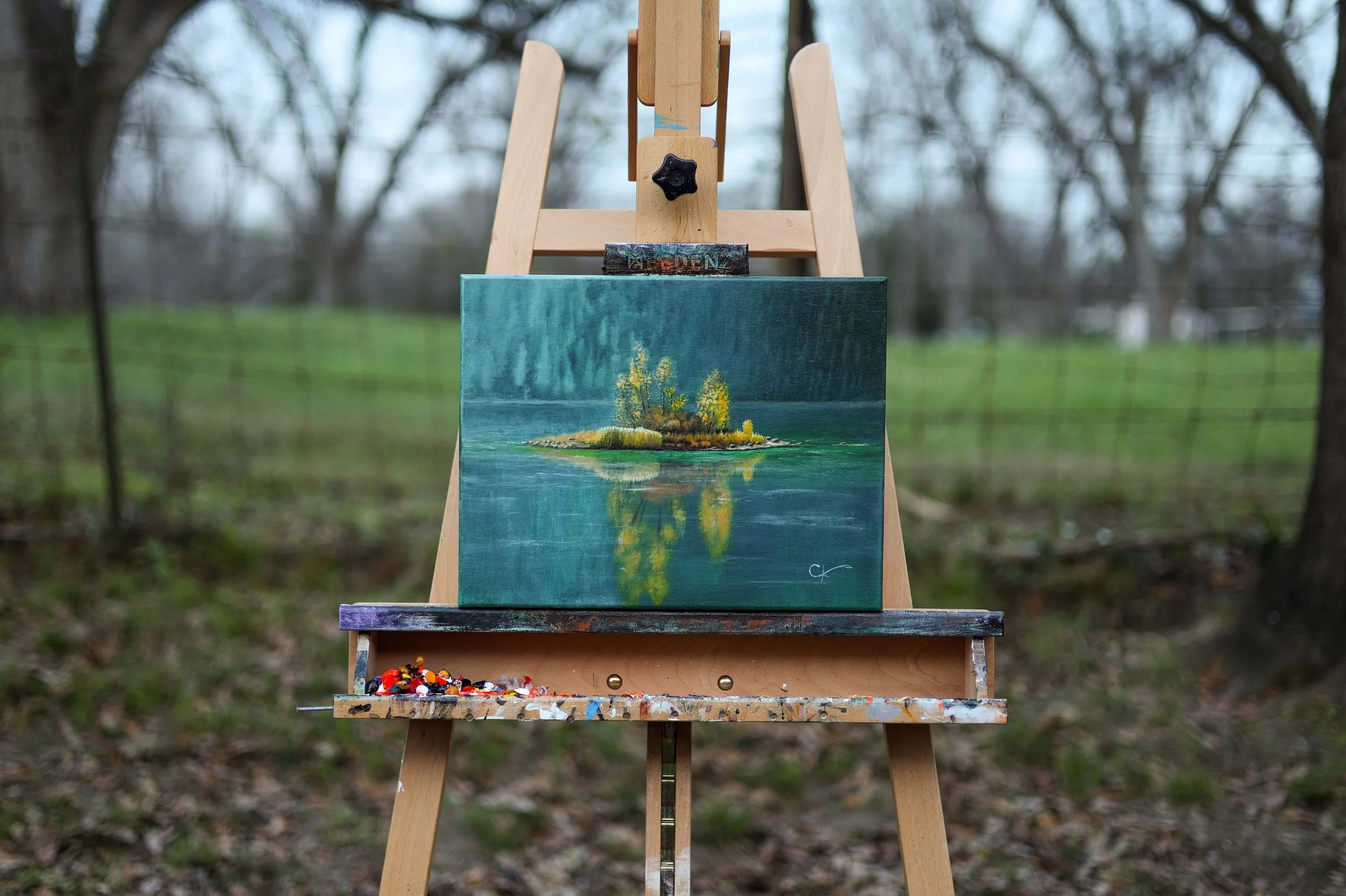 Spring Balloon wide shot.jpg