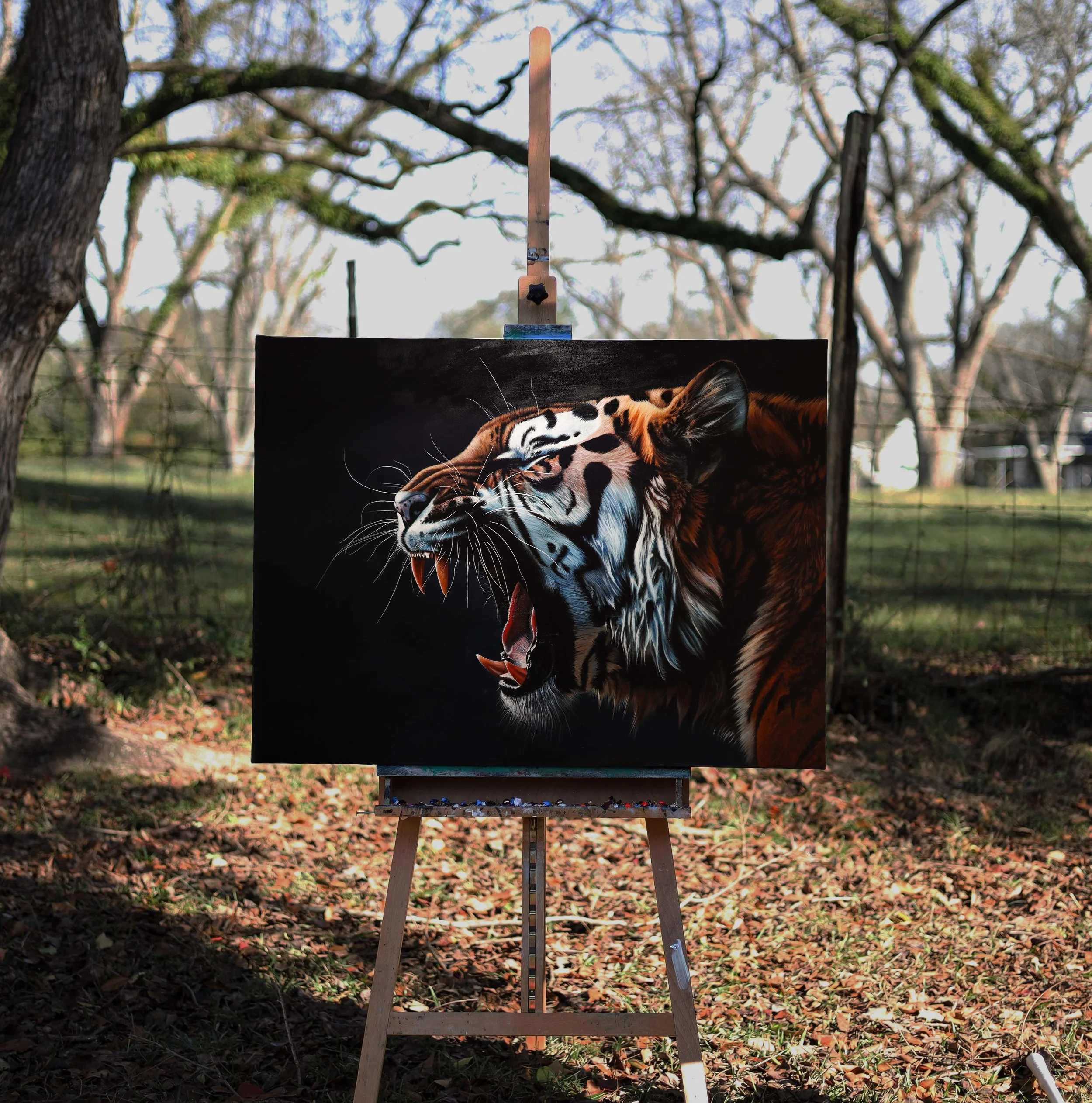 Tiger Thumbnail for website.jpg