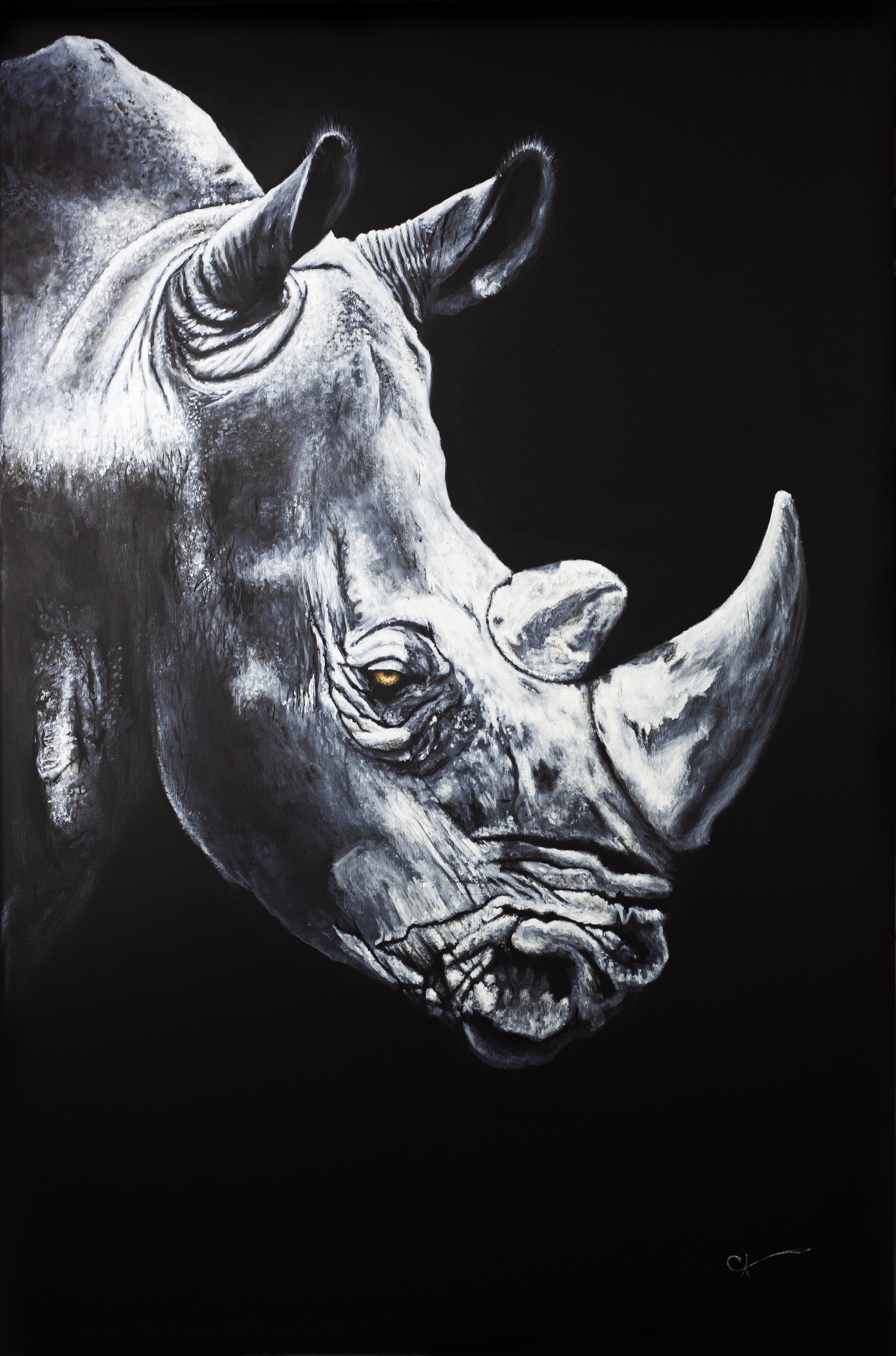 White Rhino Print .jpg
