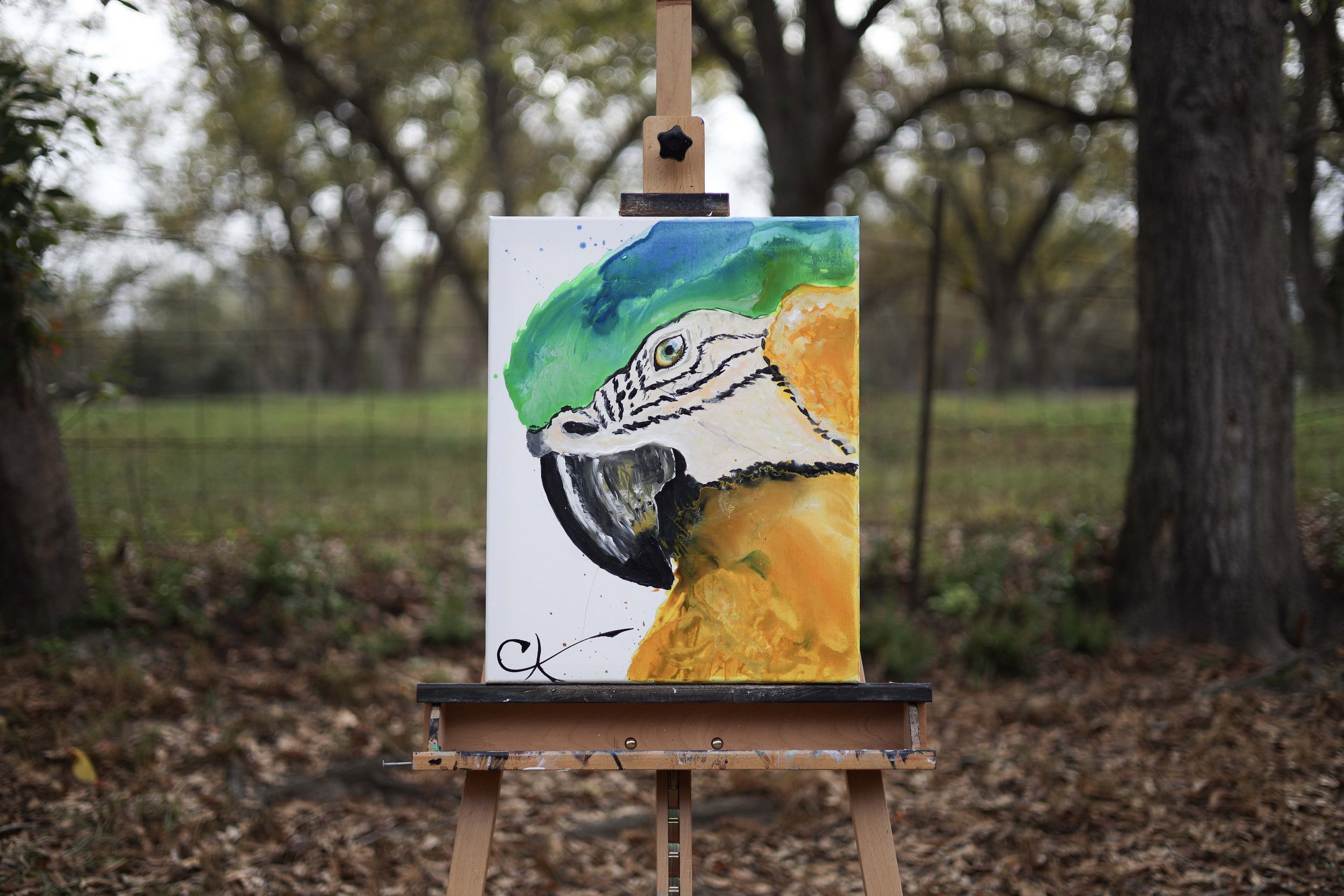 Liquid Parrot Painting.jpg