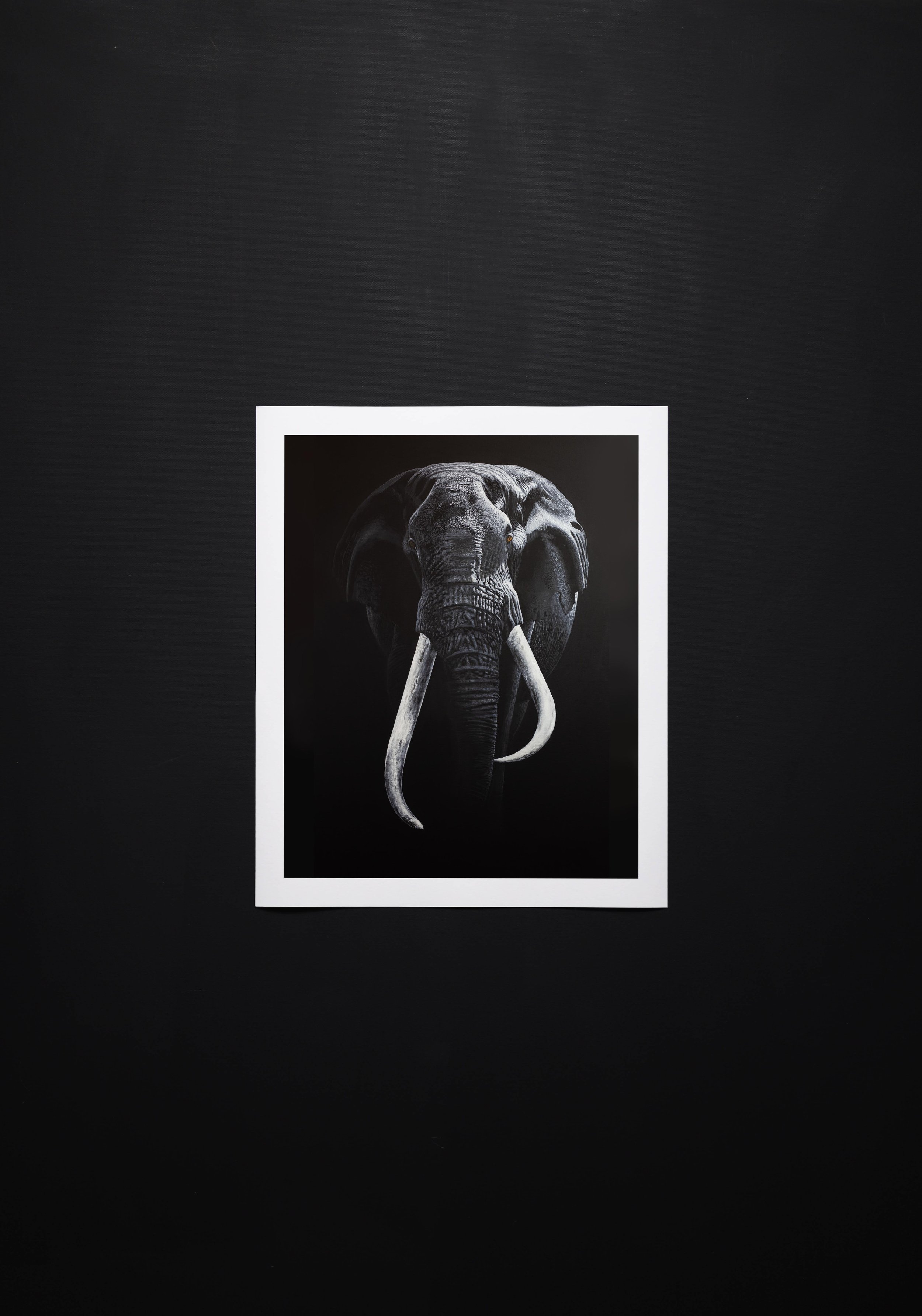 Elephant Print Thumbnail.jpg