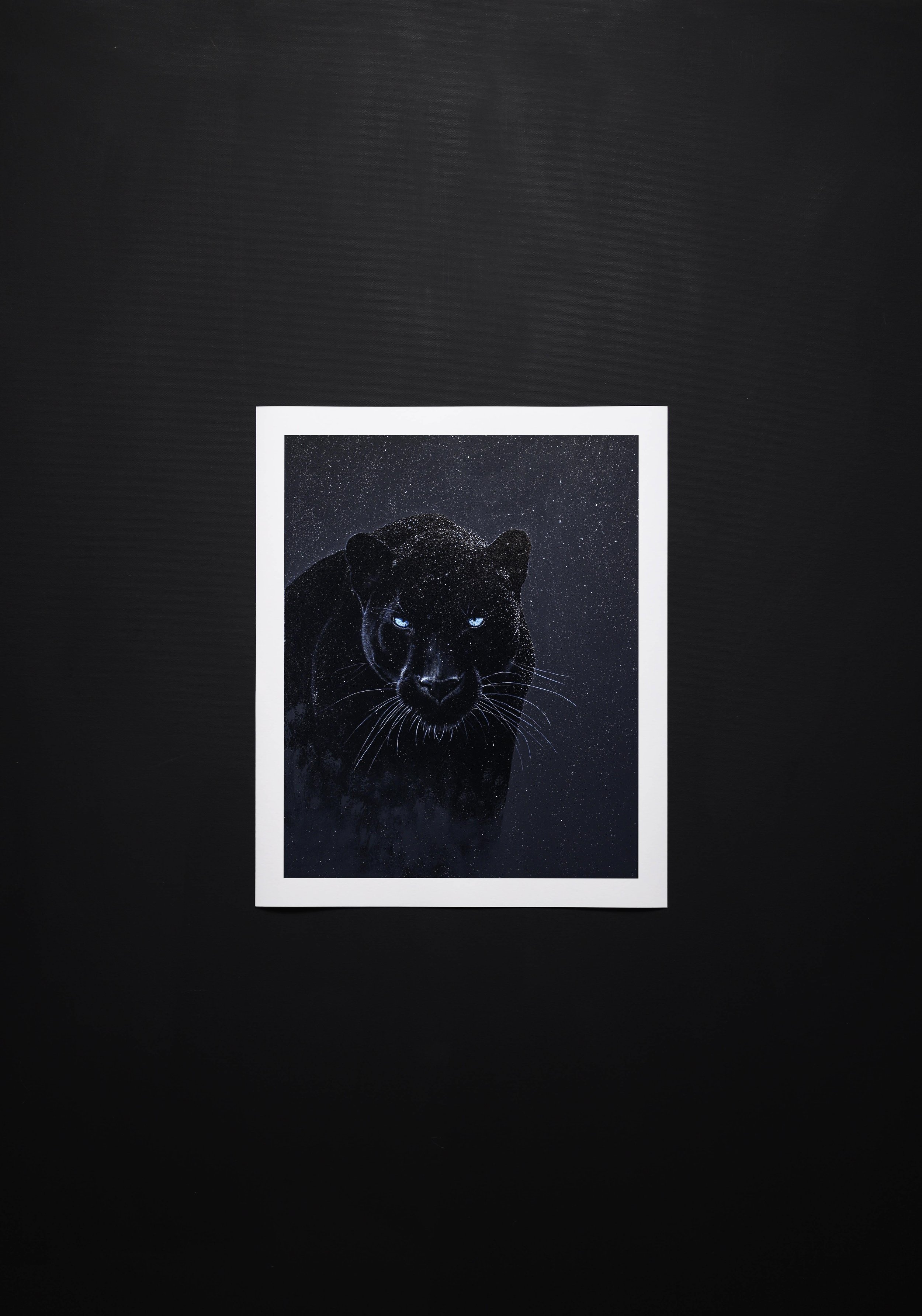 Panther Print Thumbnail .jpg