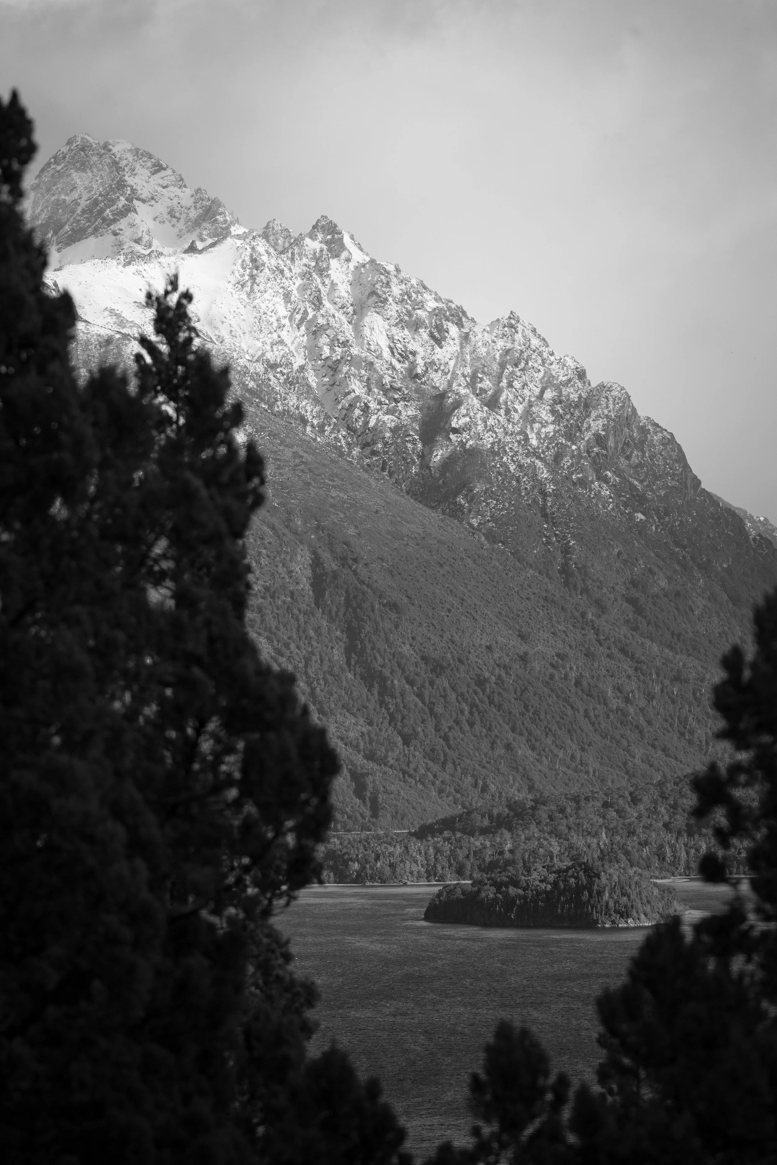 _MG_7186.jpg