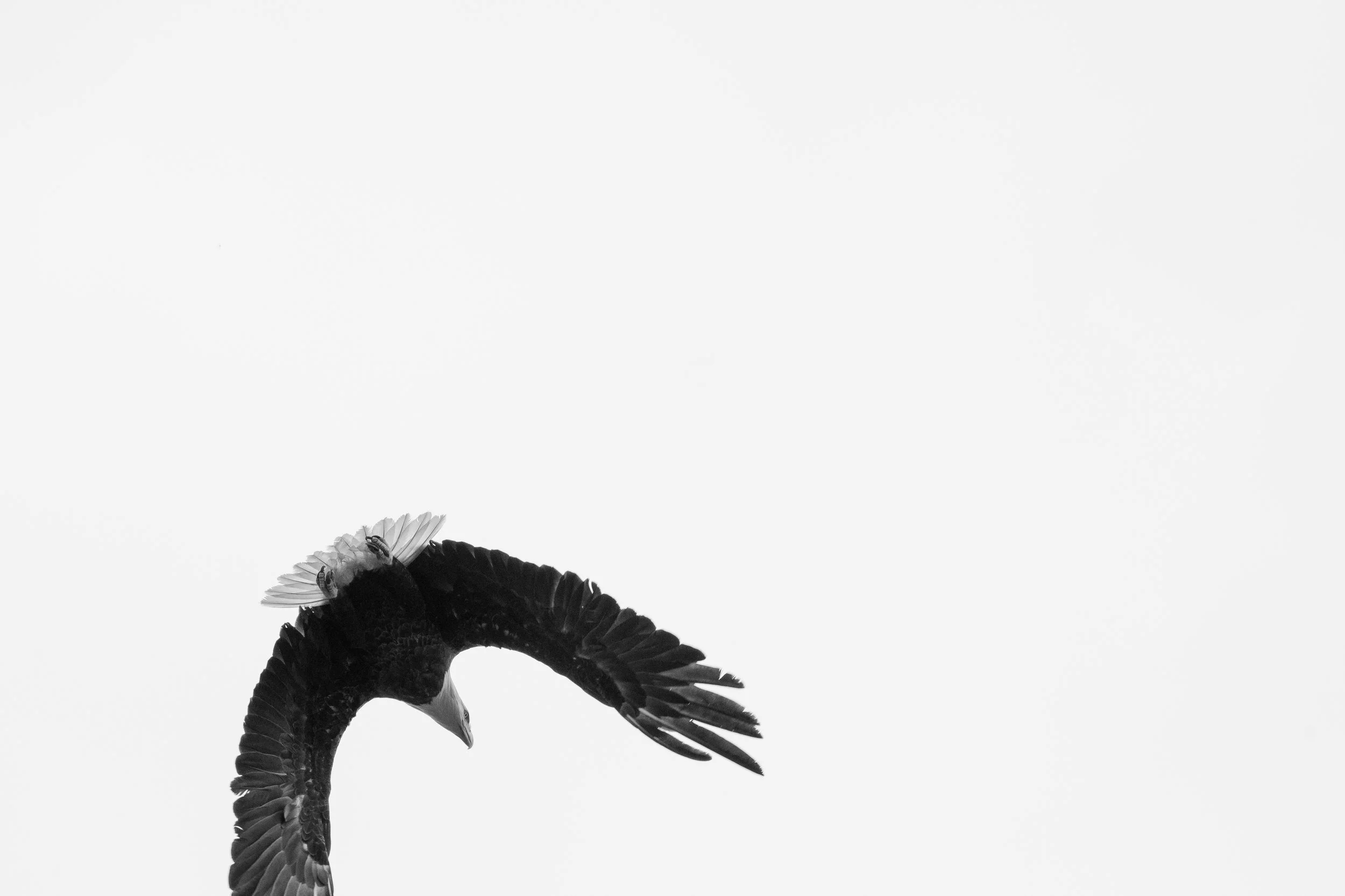 _MG_6418.jpg
