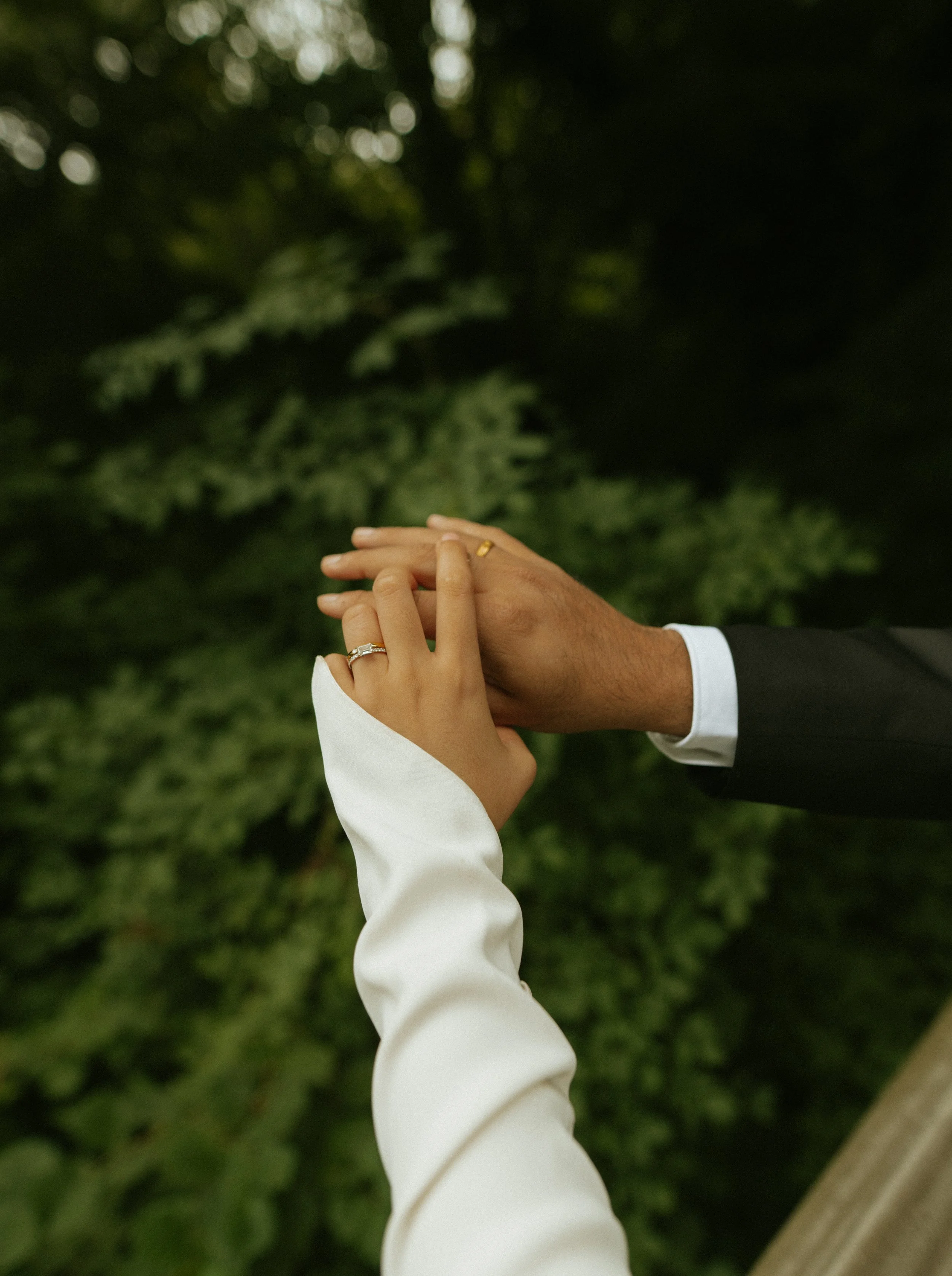 Close-up of a couple holding hands, showcasing wedding rings, outdoors with green foliage in the background.