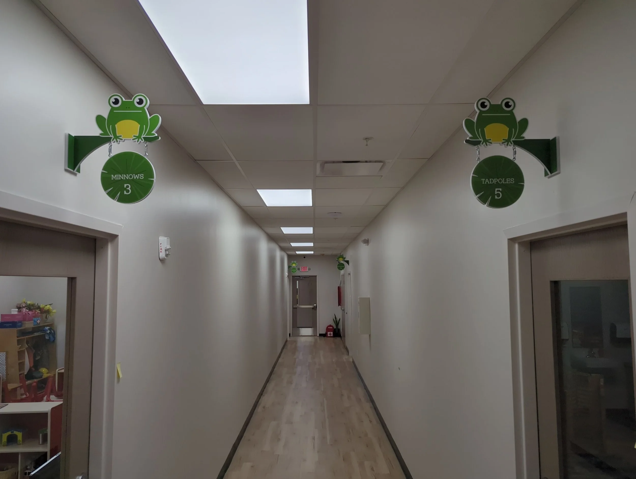 Hallway frogs.jpg