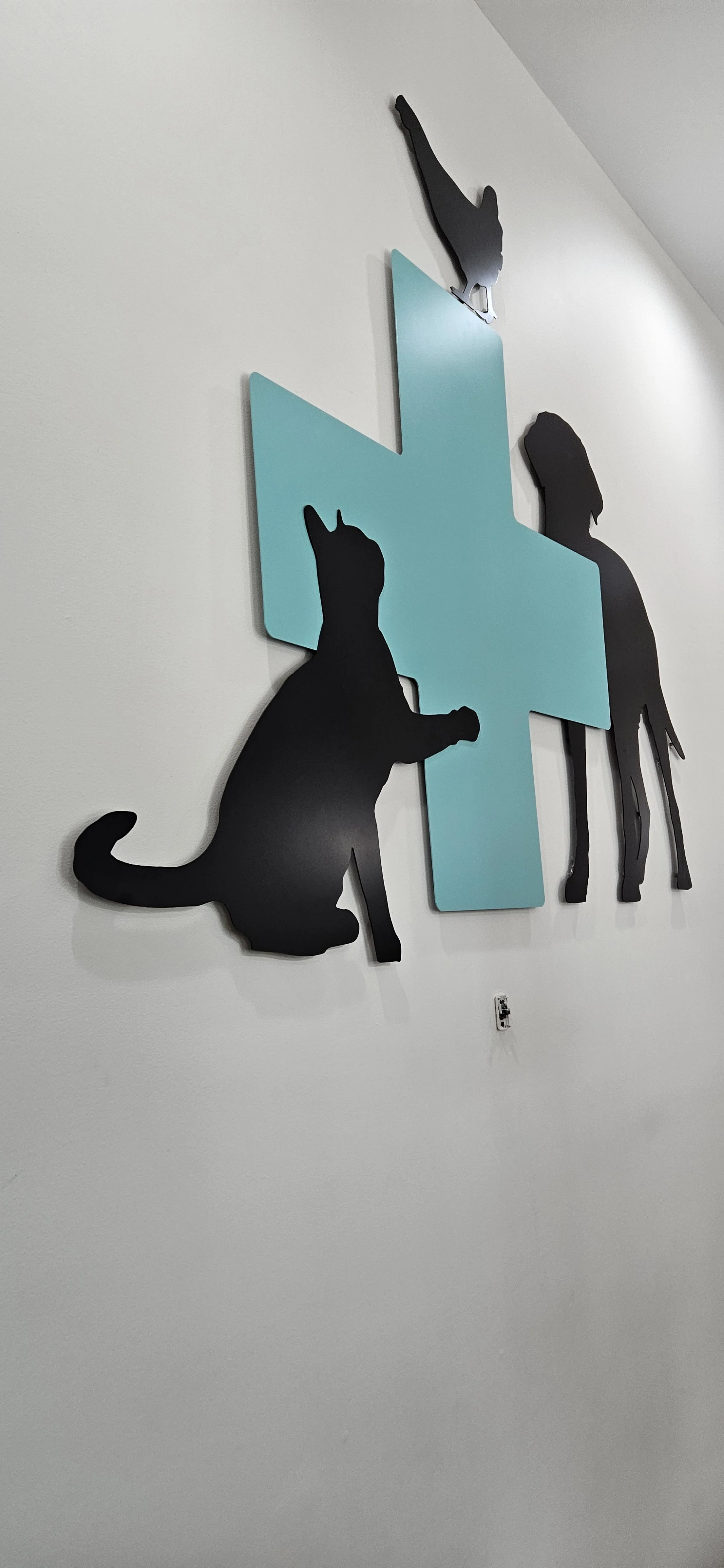 Lebanon ASmall Animal Clinic 1 .jpg