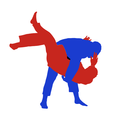 Brazilian Jiu Jitsu Pensacola