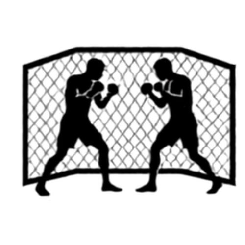 MMA Classes