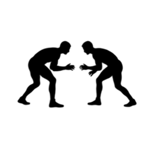 Wrestling Classes
