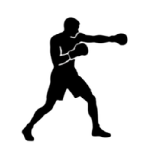 Boxing Classes