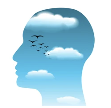 Mental Capital: Protect Your Attention