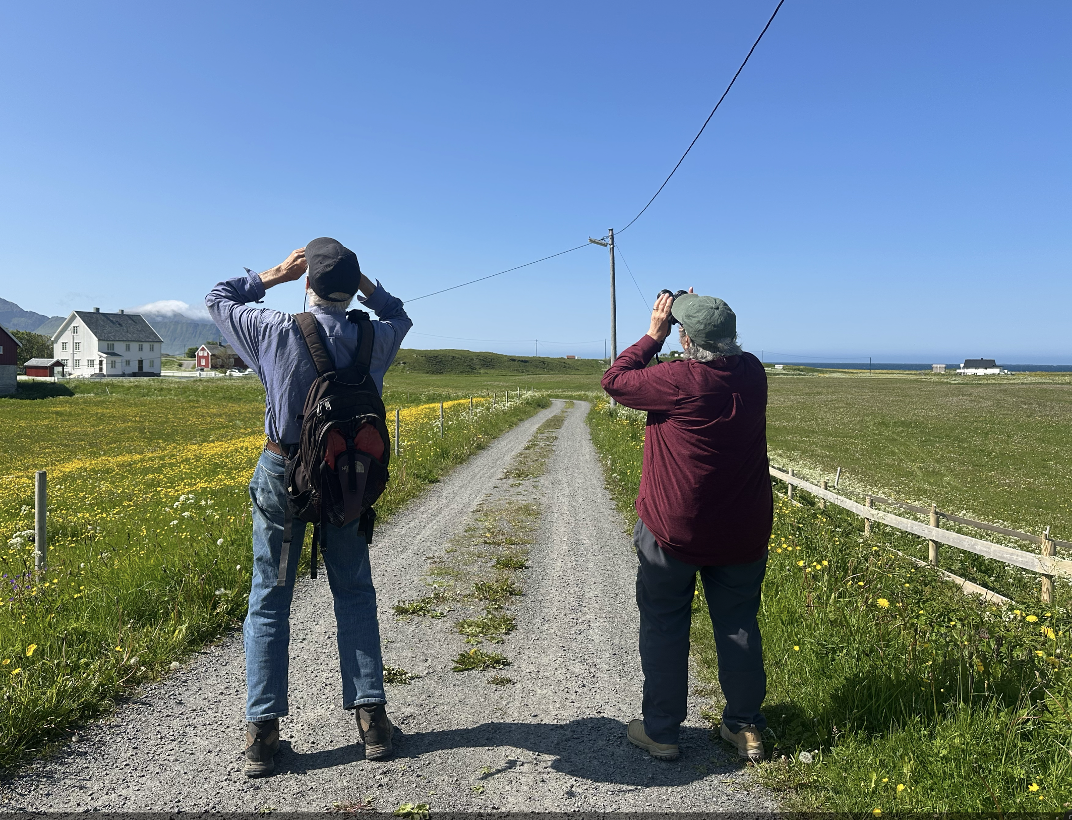 Screenshot 2025-07-26 at 17.22.30.png