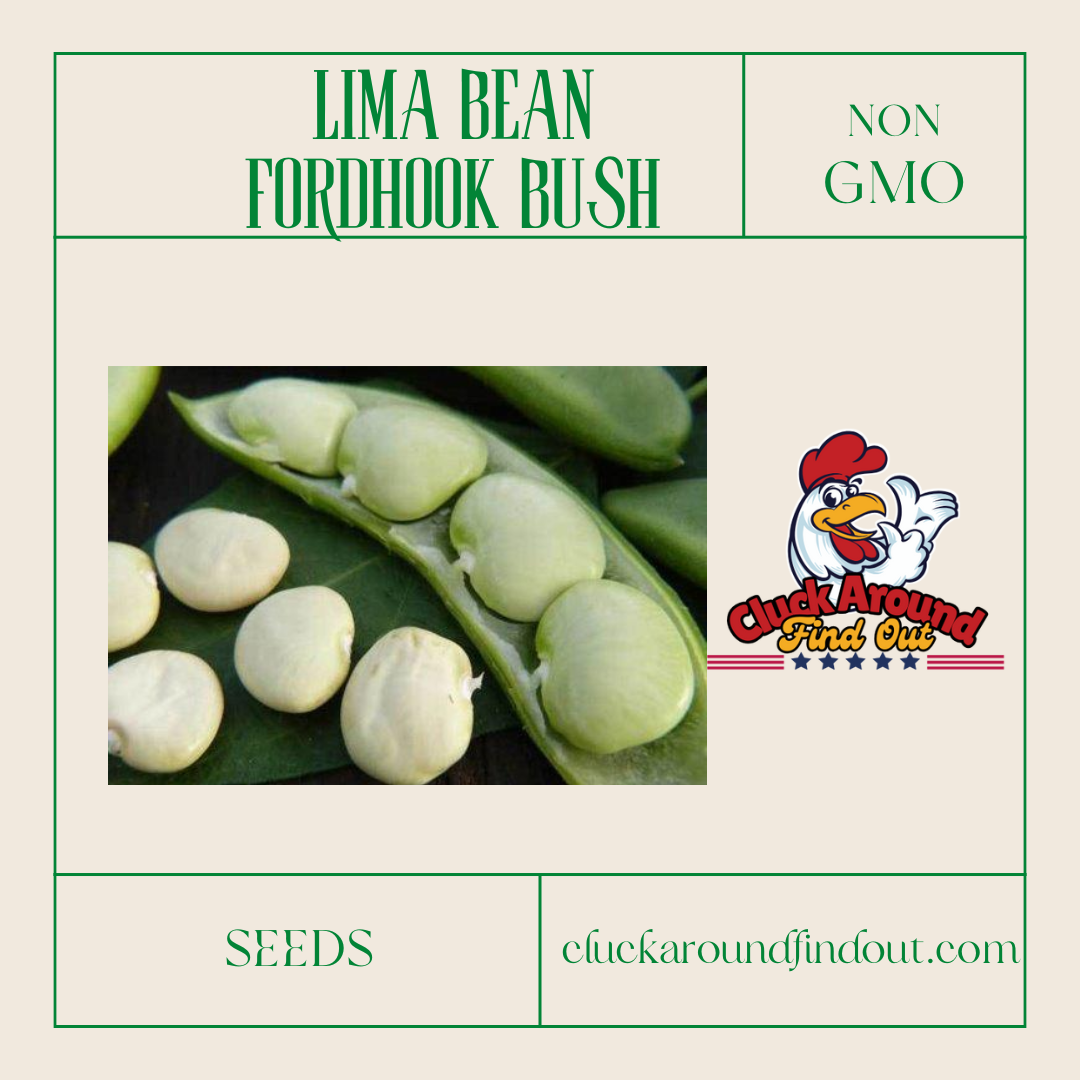 Lima Bean Seeds- Bush- Fordhook #242
