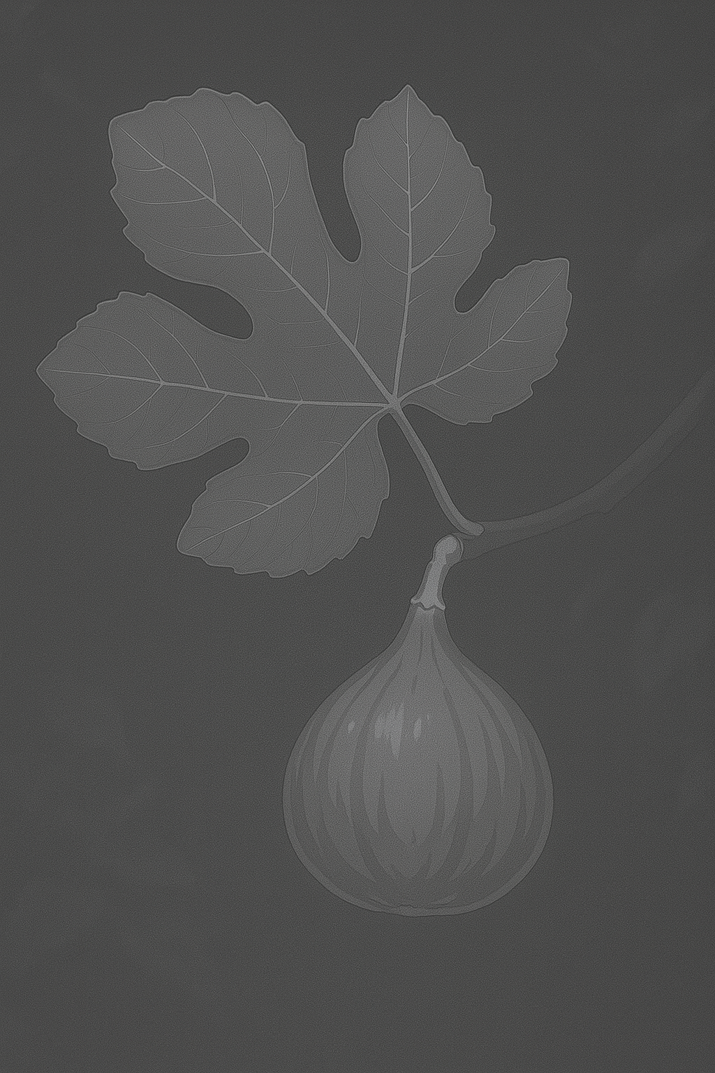 Marylane Seedless Steckholz