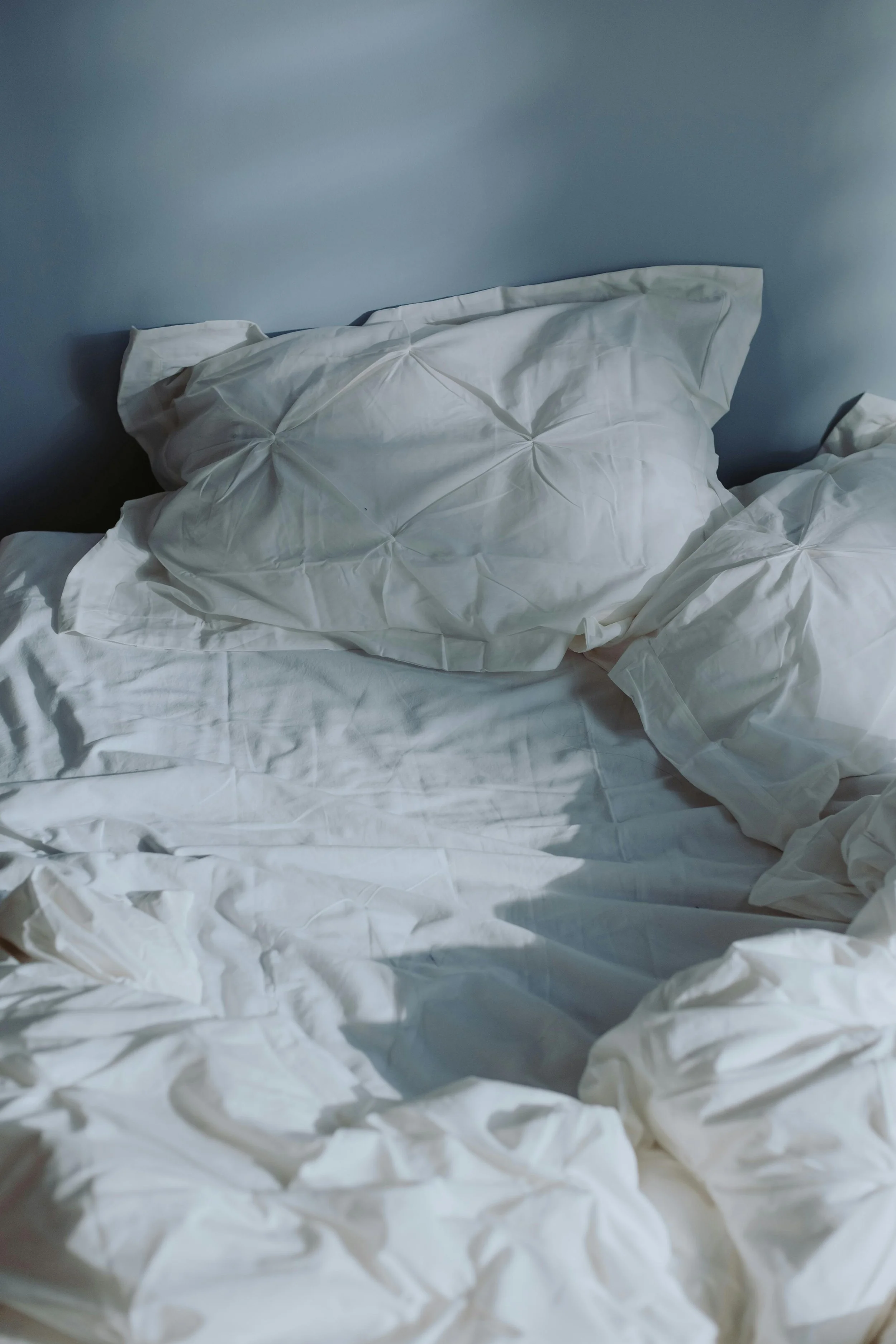 pexels-cottonbro-10061393.jpg