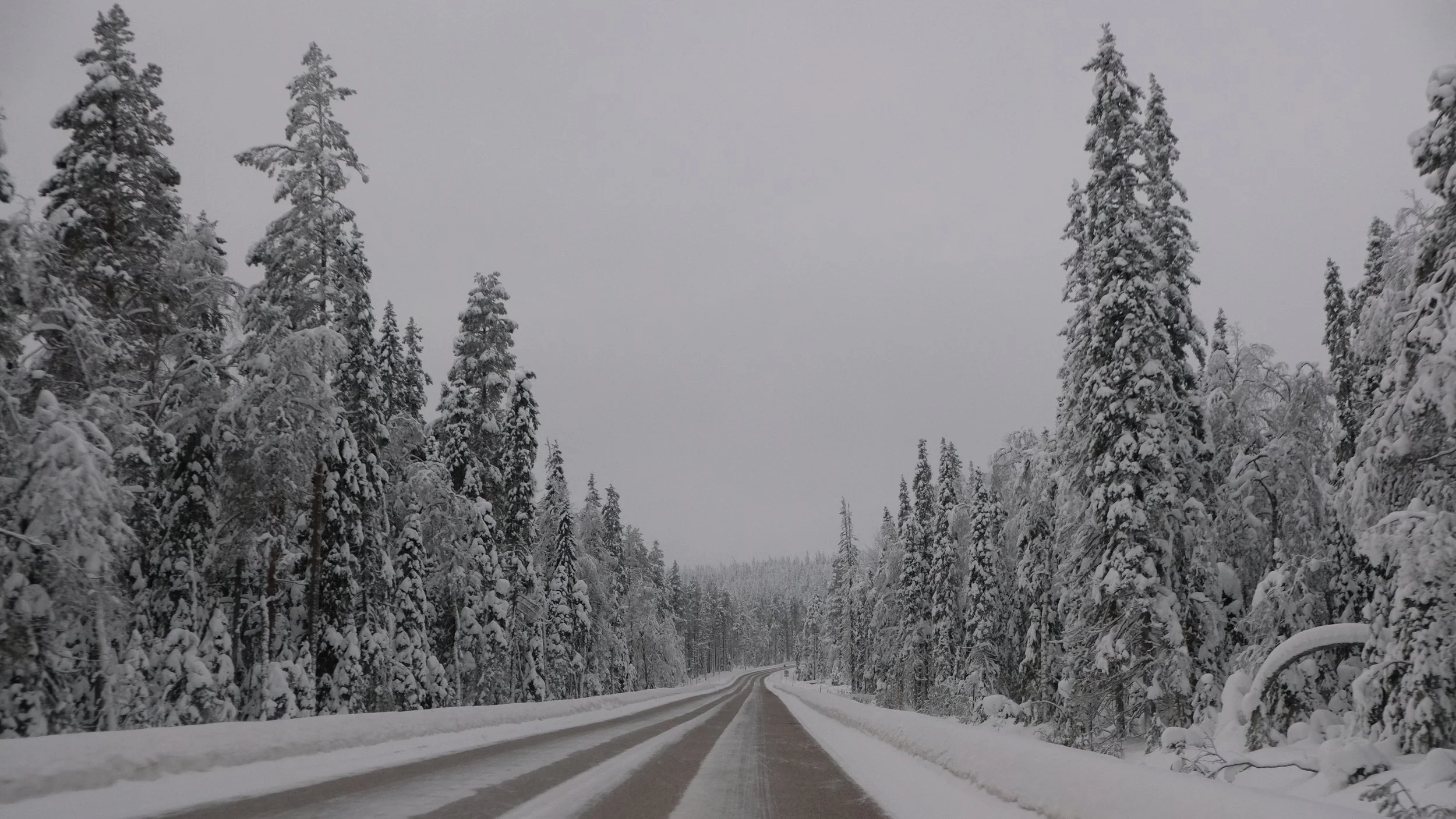 DSCF2480.JPG