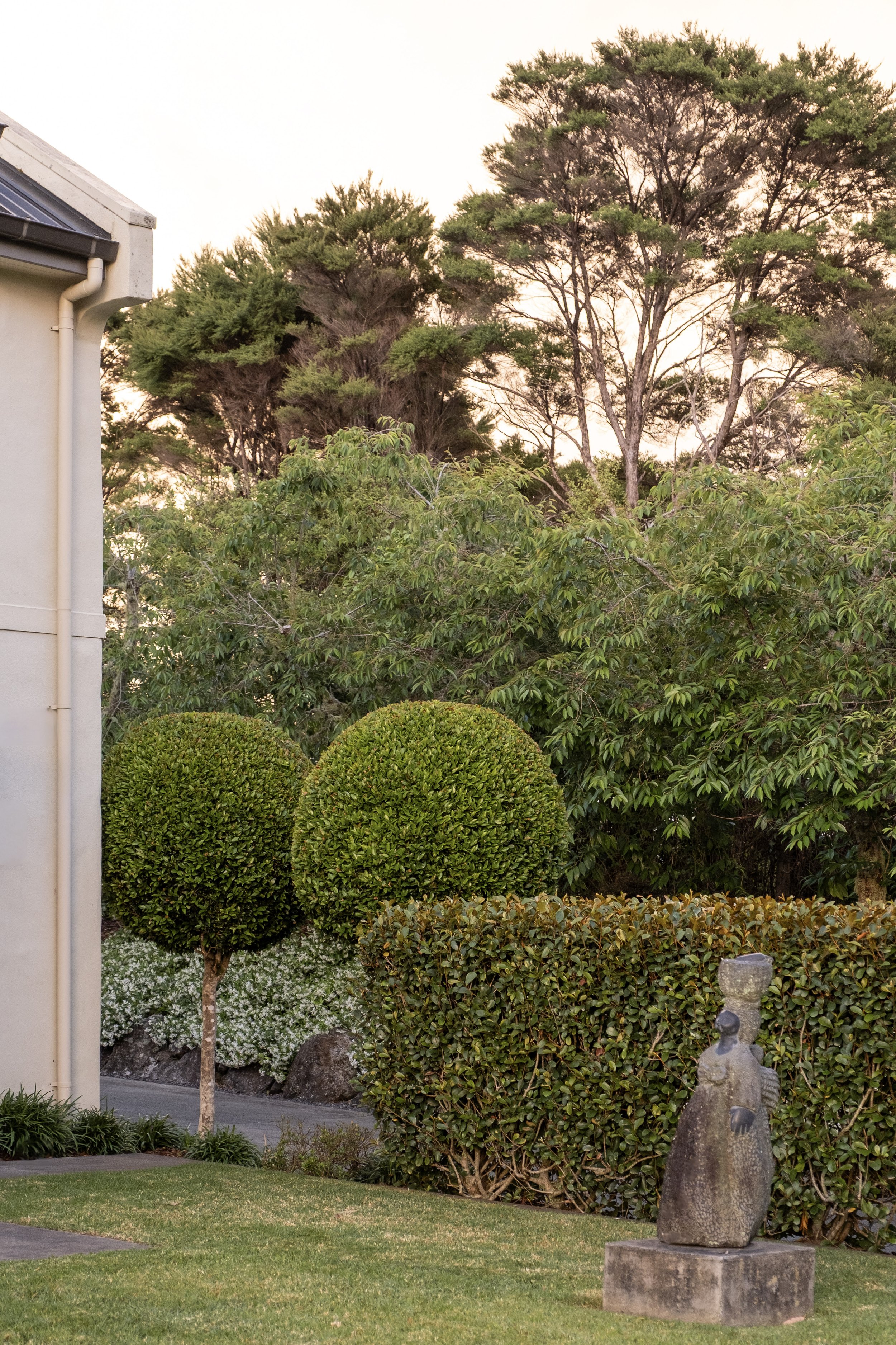HEDGES, TOPIARIES, TREES, STAR JASMINE, GARDEN BEAUTIFUL